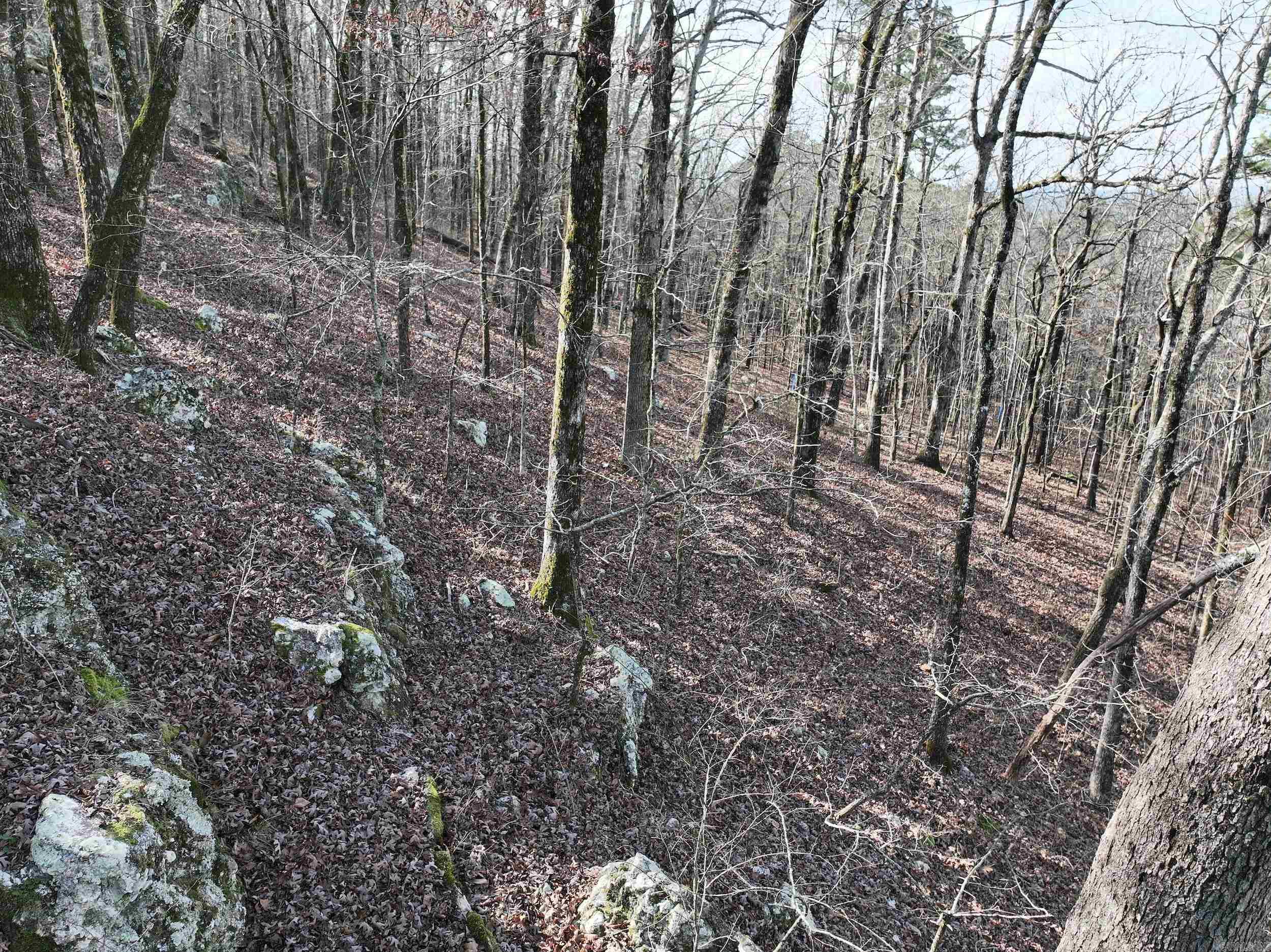 3373 Highway 347  Bismarck, AR