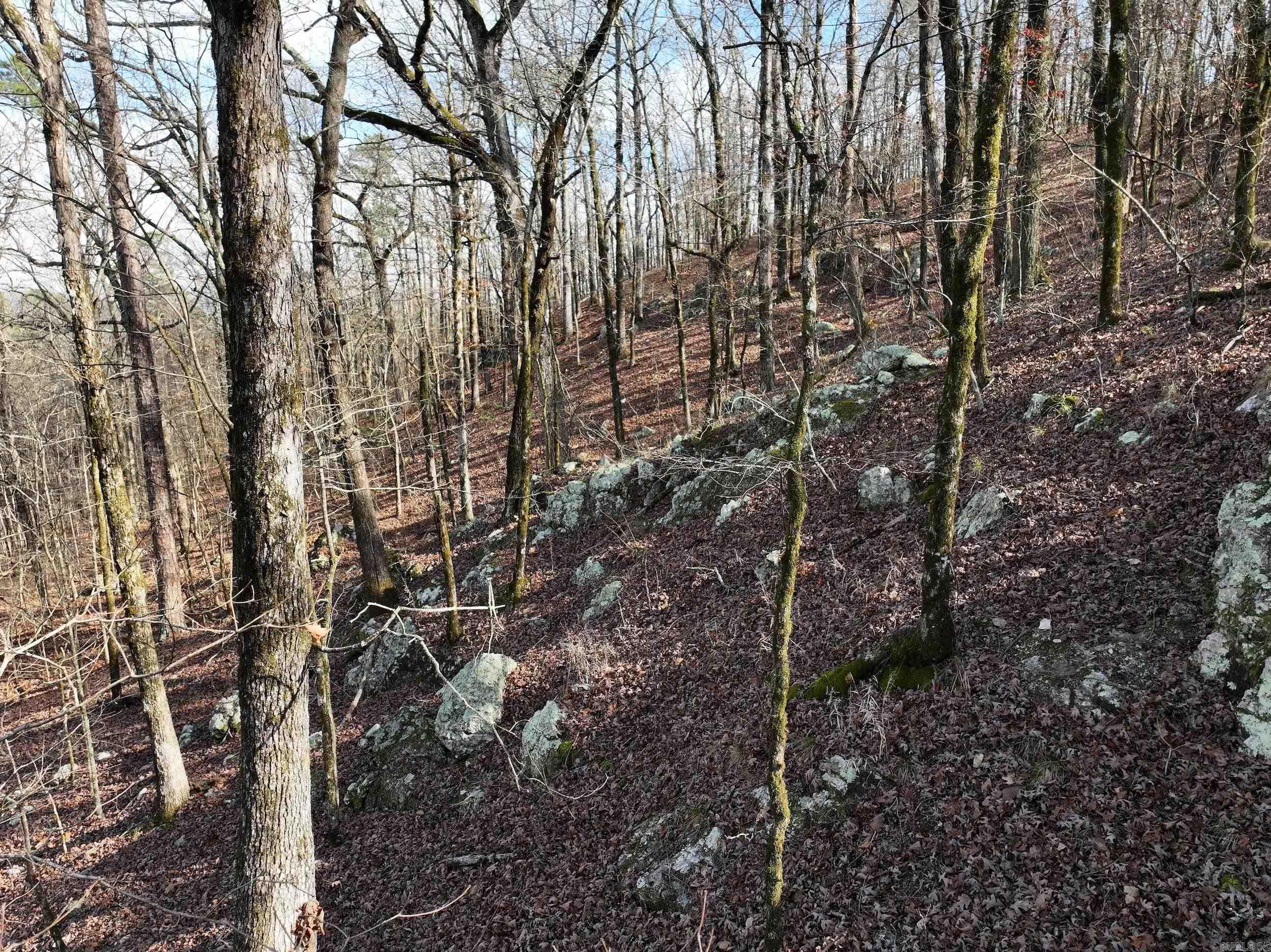 3373 Highway 347  Bismarck, AR