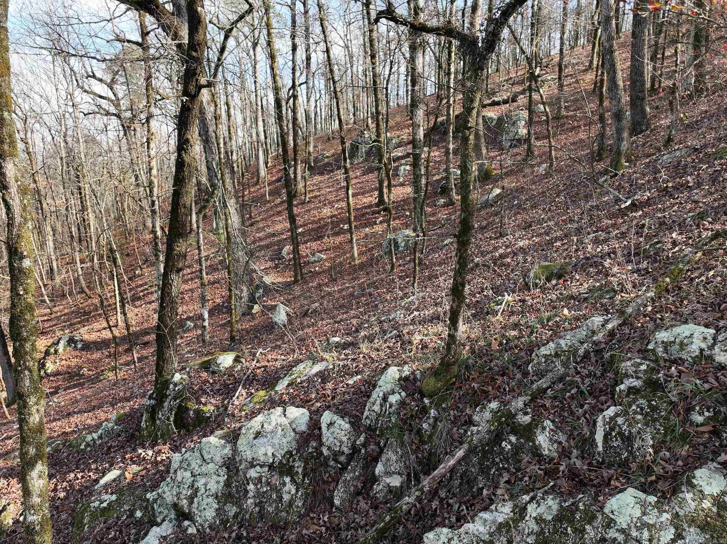 3373 Highway 347  Bismarck, AR