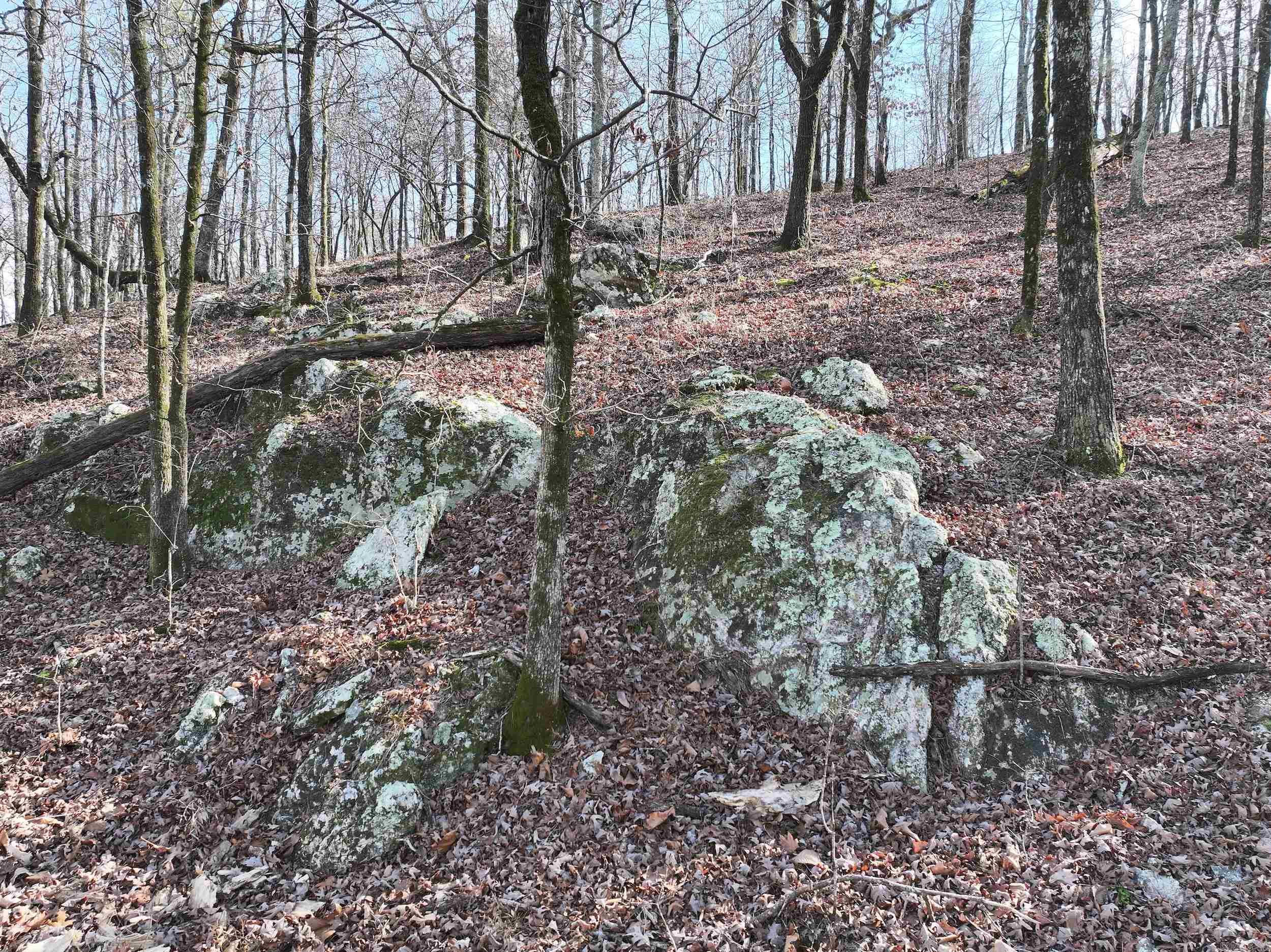 3373 Highway 347  Bismarck, AR