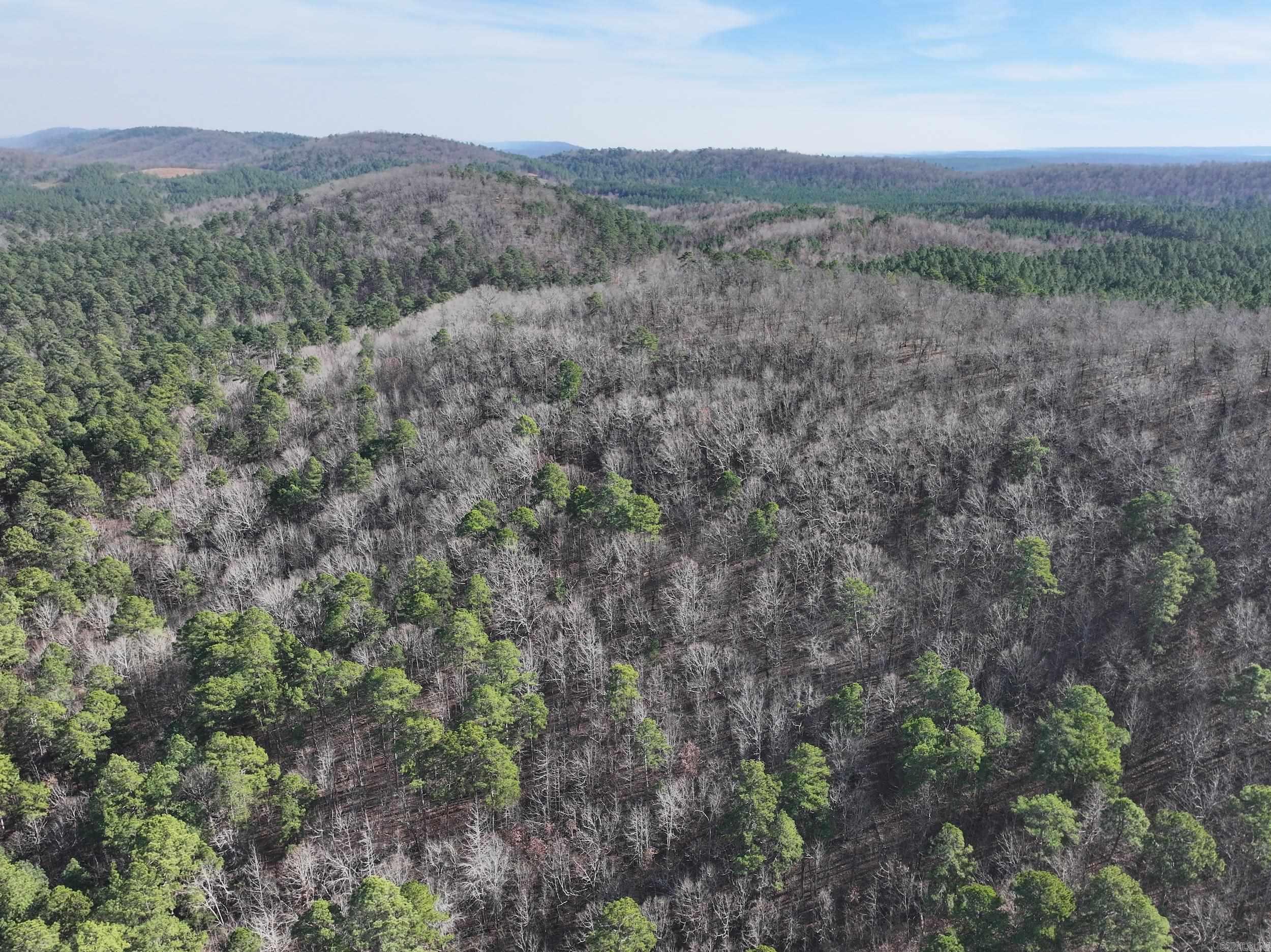 3373 Highway 347  Bismarck, AR