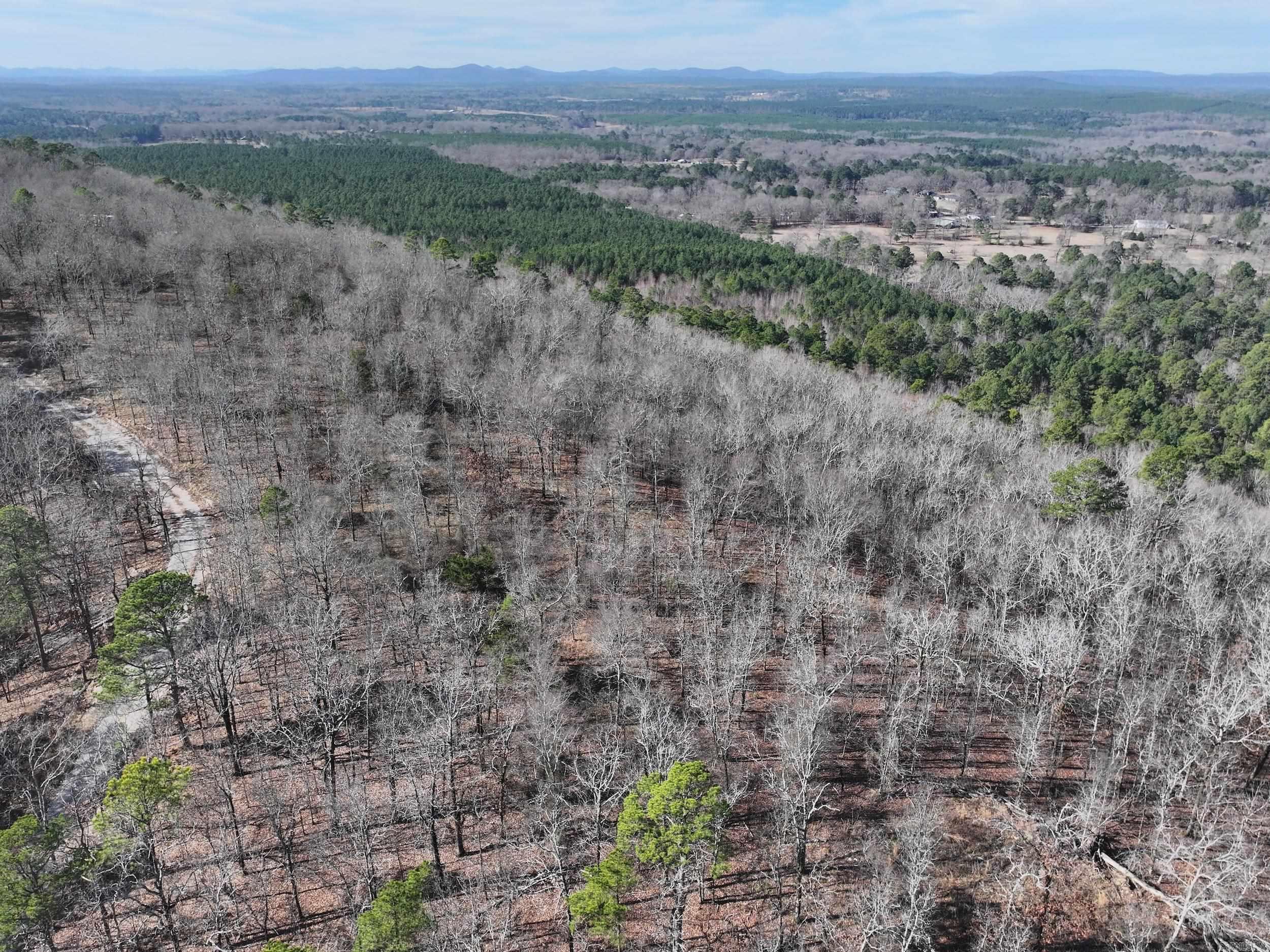 3373 Highway 347  Bismarck, AR