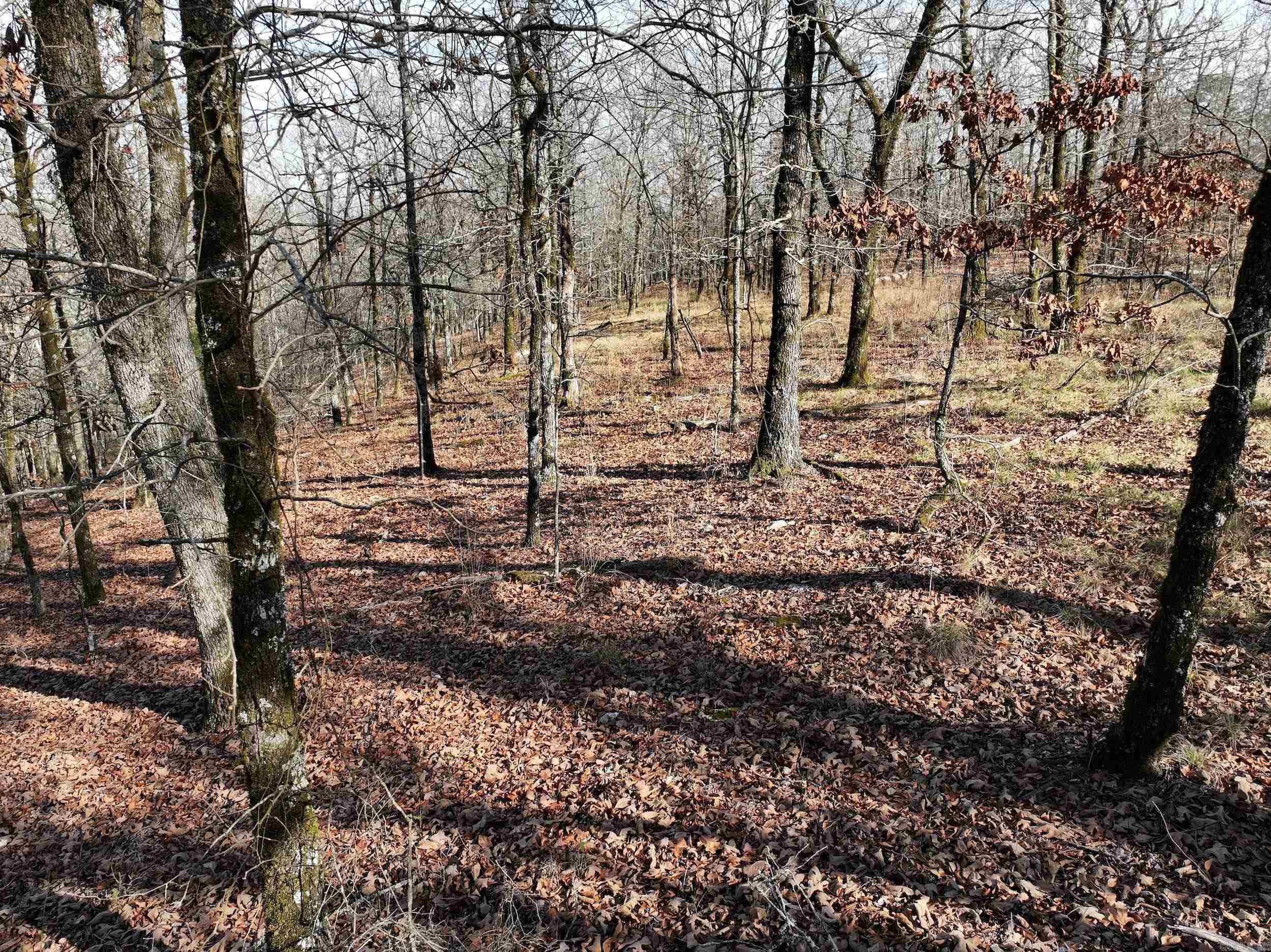 3373 Highway 347  Bismarck, AR