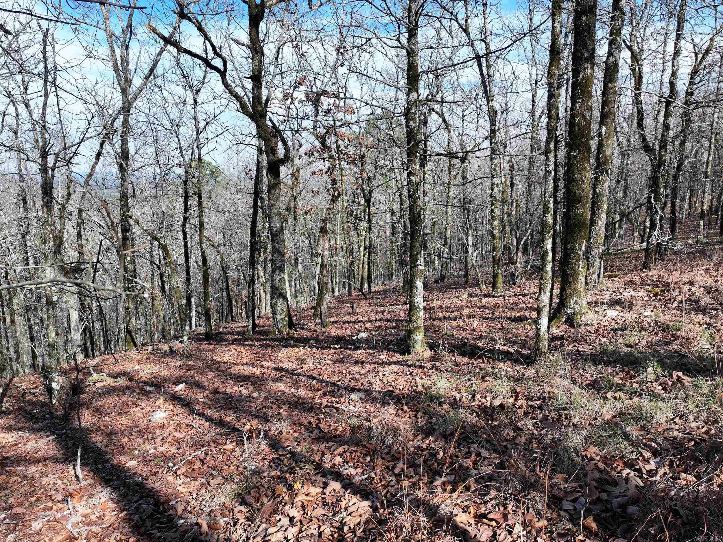 3373 Highway 347  Bismarck, AR