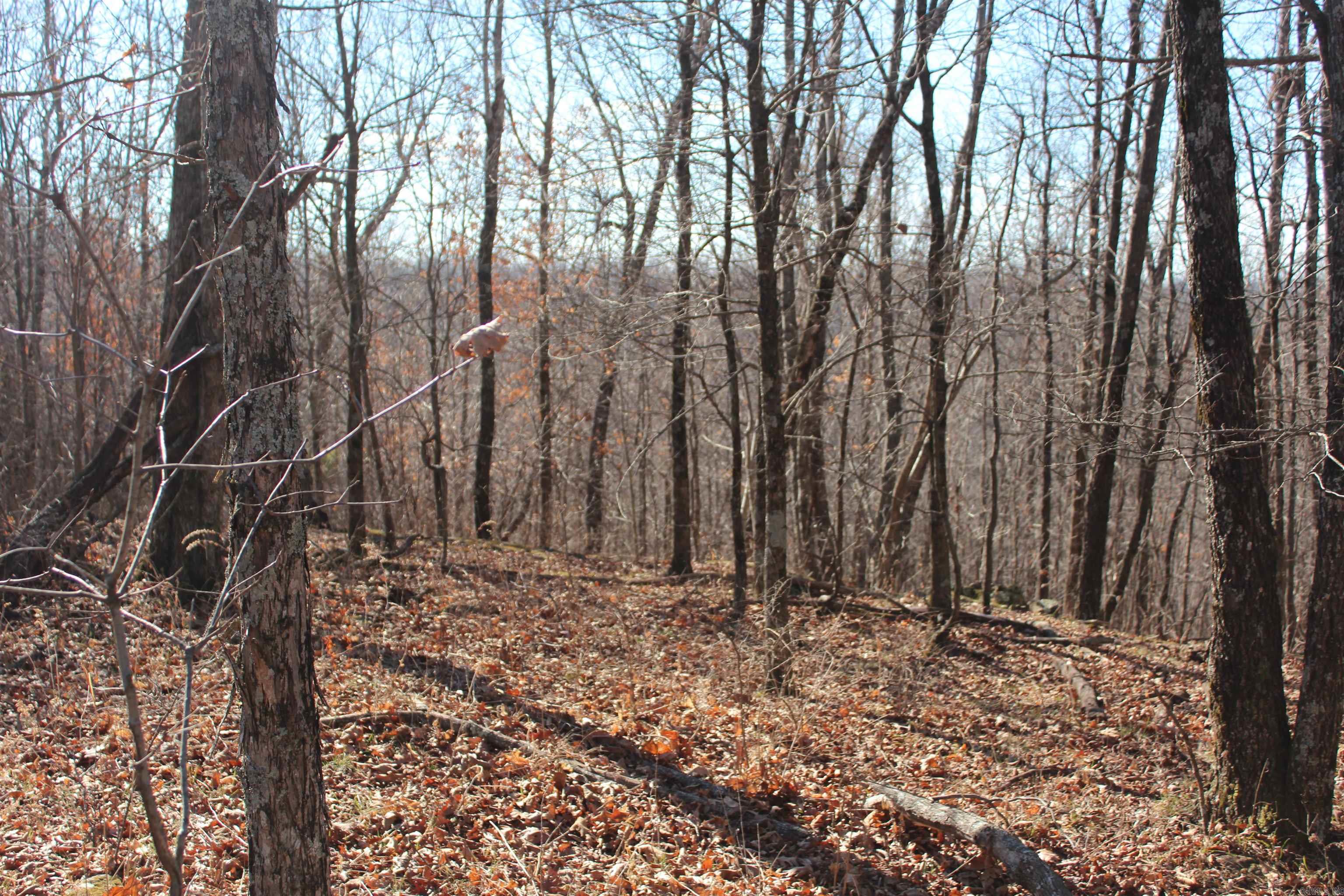 000 Possum Trot Rd  Compton, AR