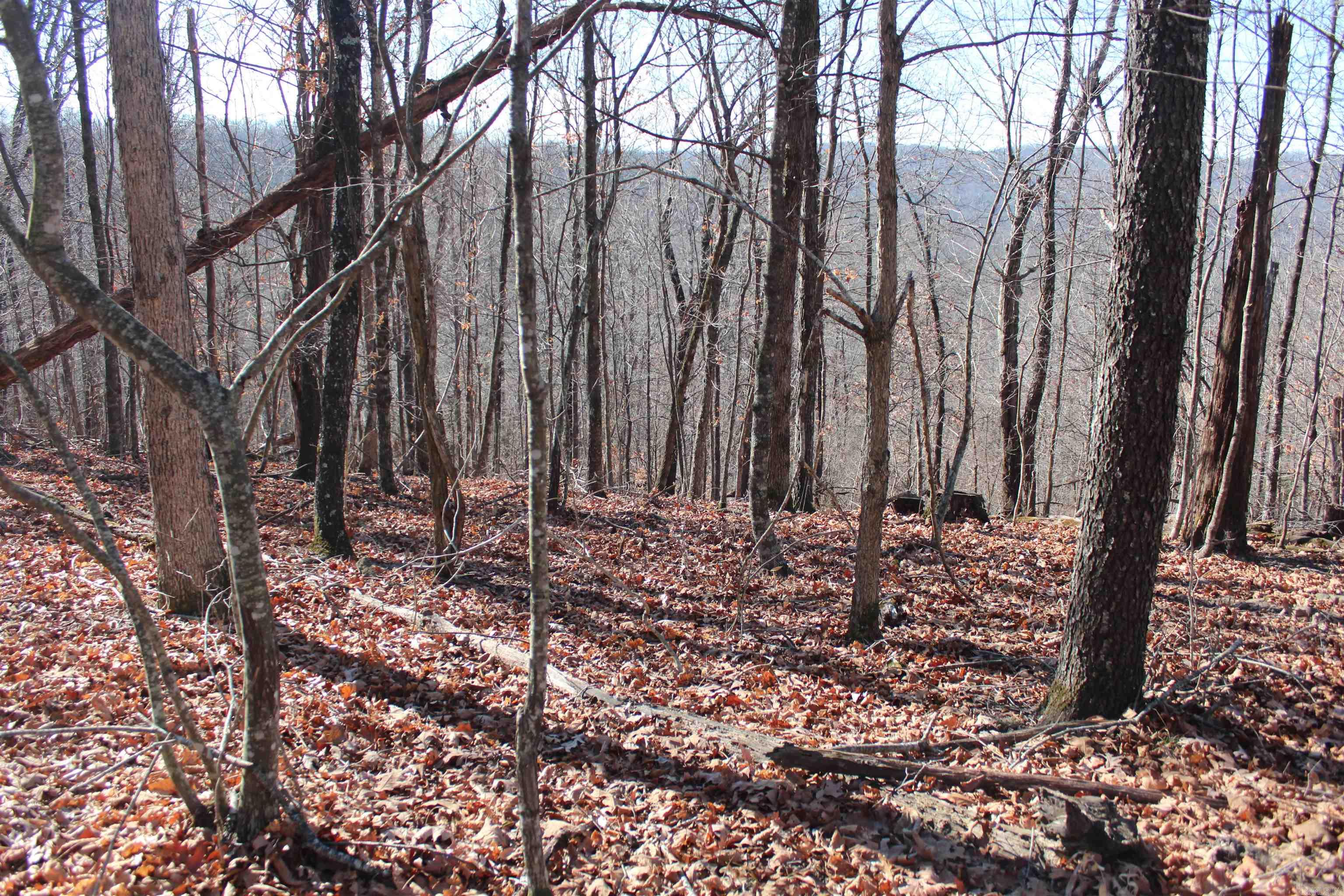 000 Possum Trot Rd  Compton, AR