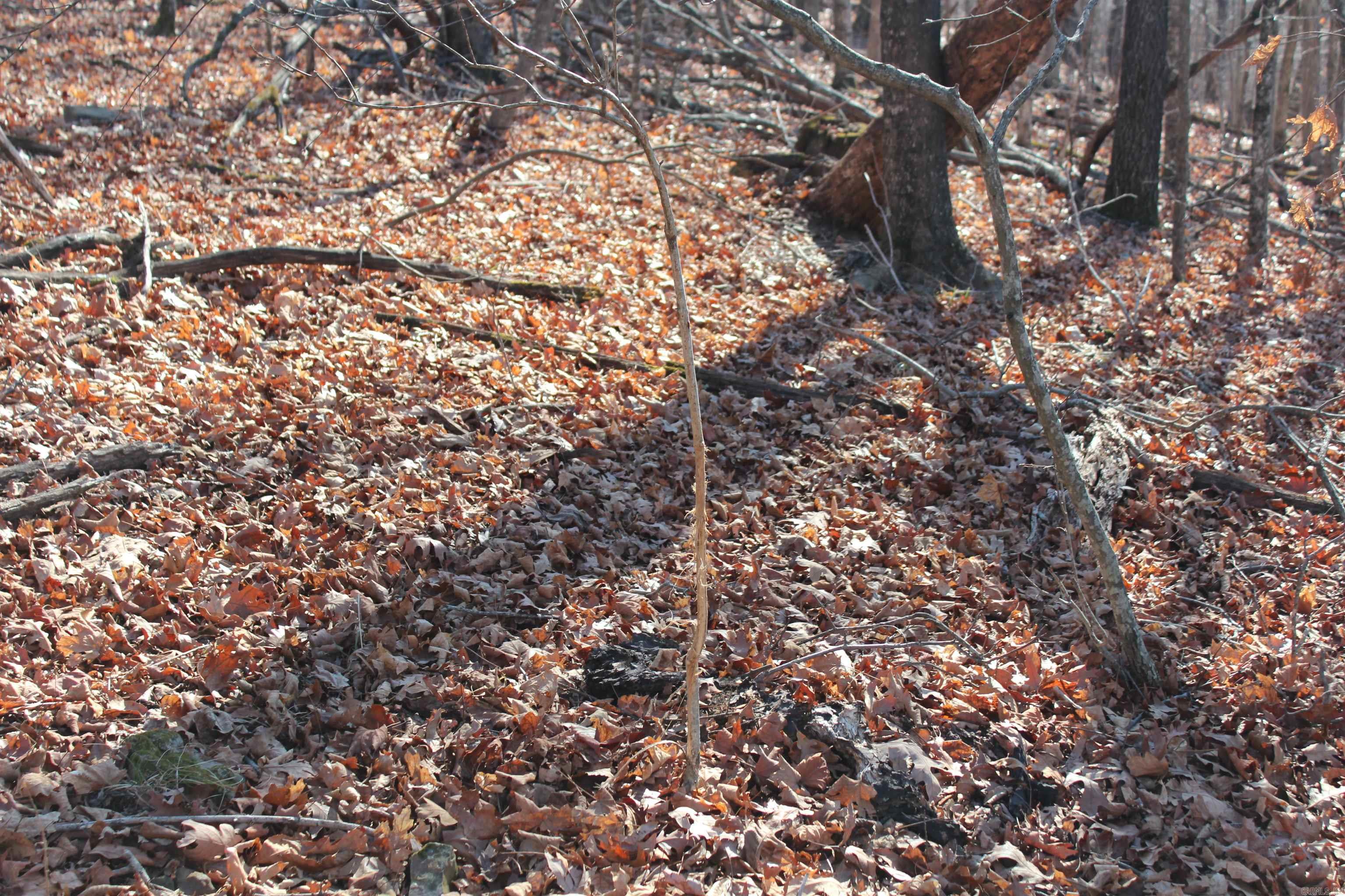 000 Possum Trot Rd  Compton, AR