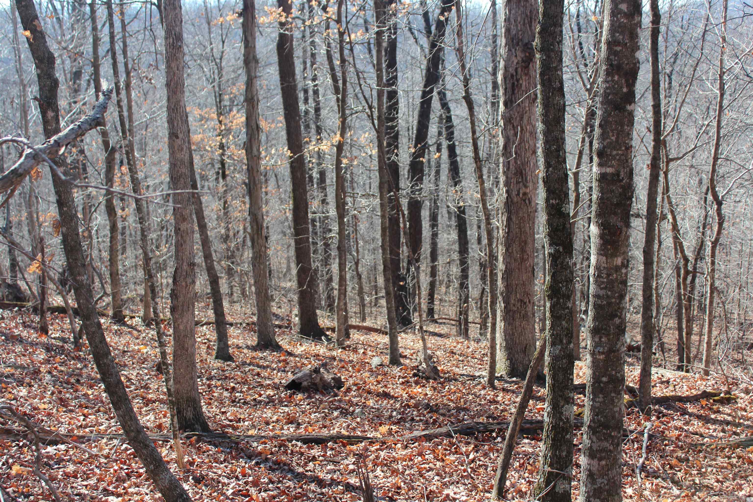 000 Possum Trot Rd  Compton, AR