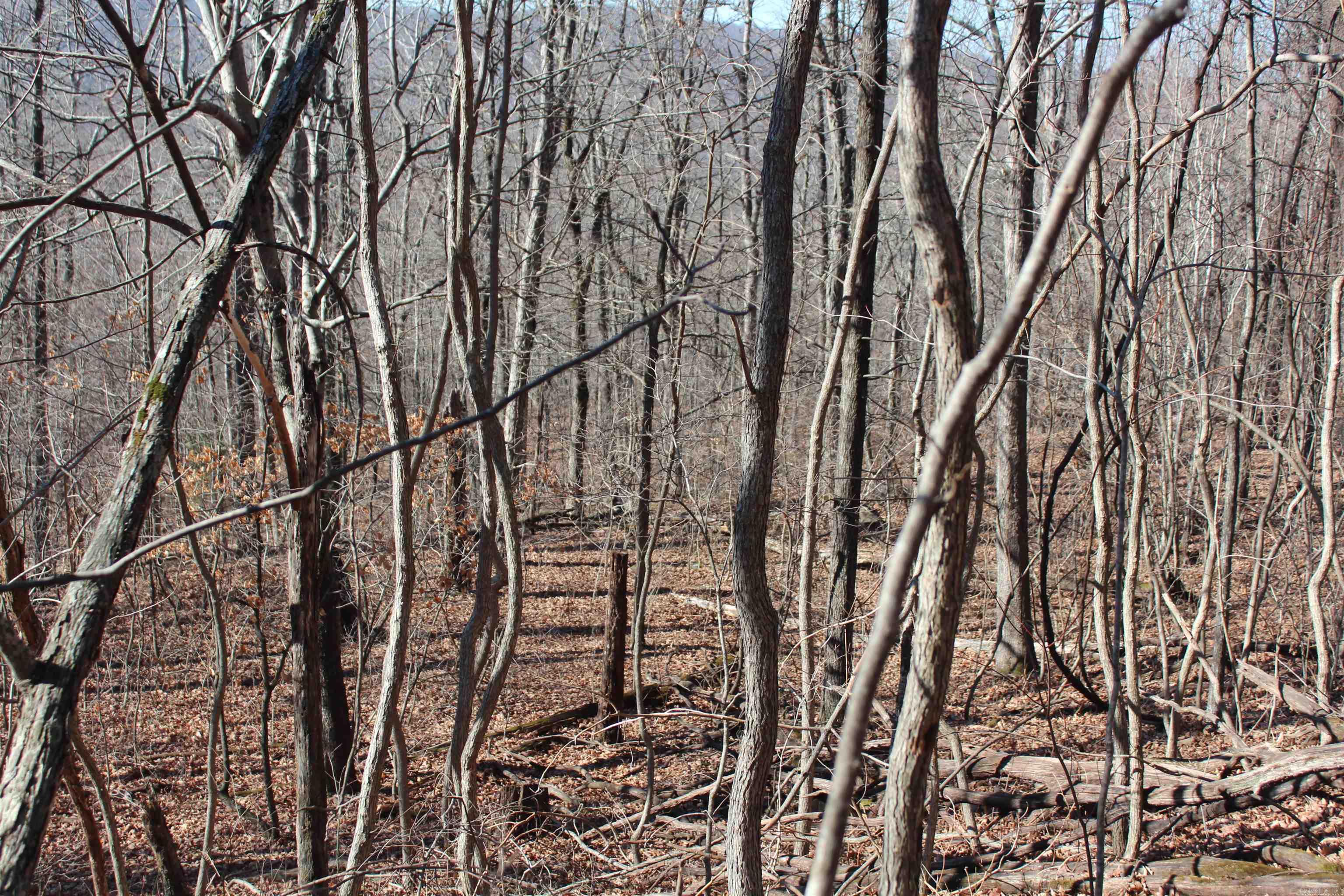 000 Possum Trot Rd  Compton, AR