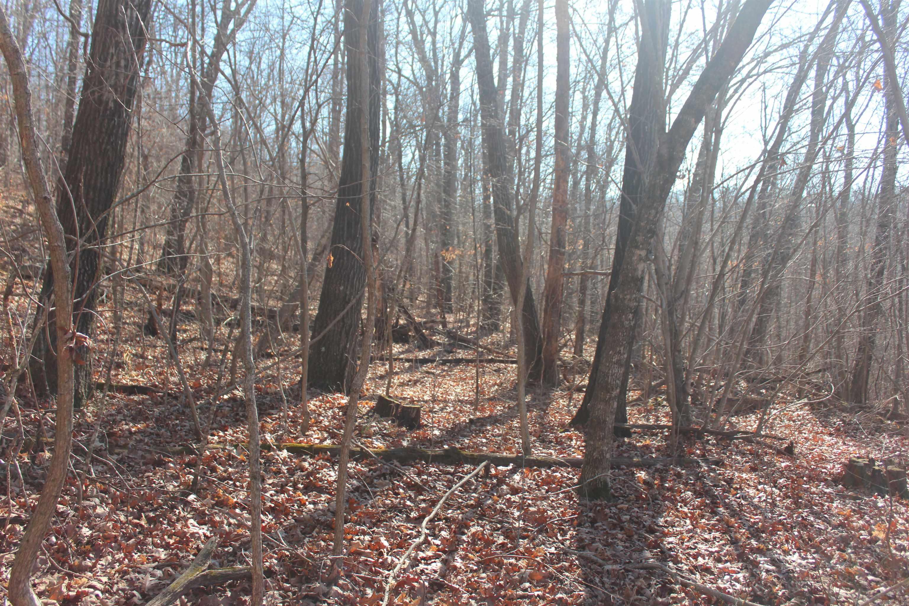 000 Possum Trot Rd  Compton, AR