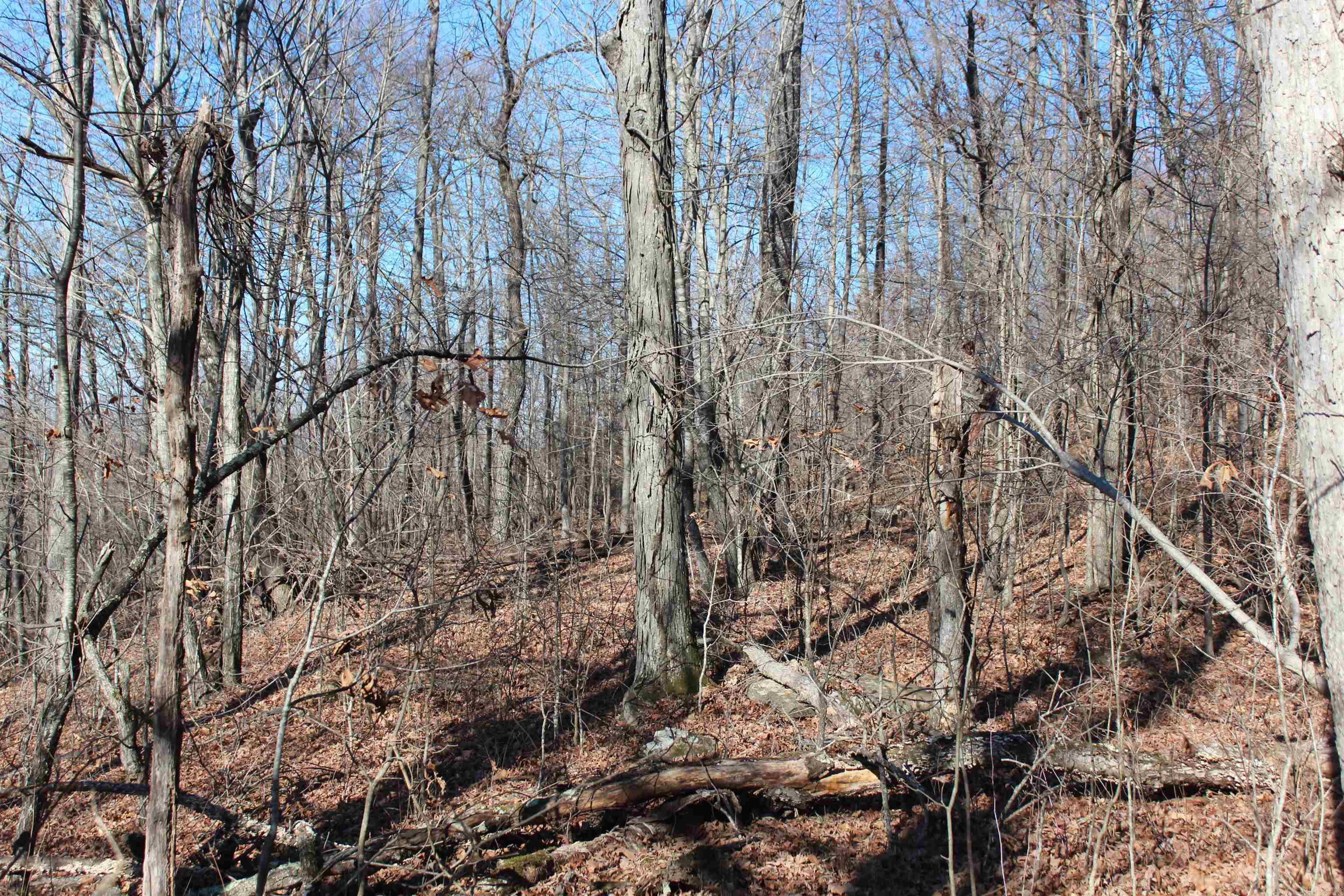 000 Possum Trot Rd  Compton, AR