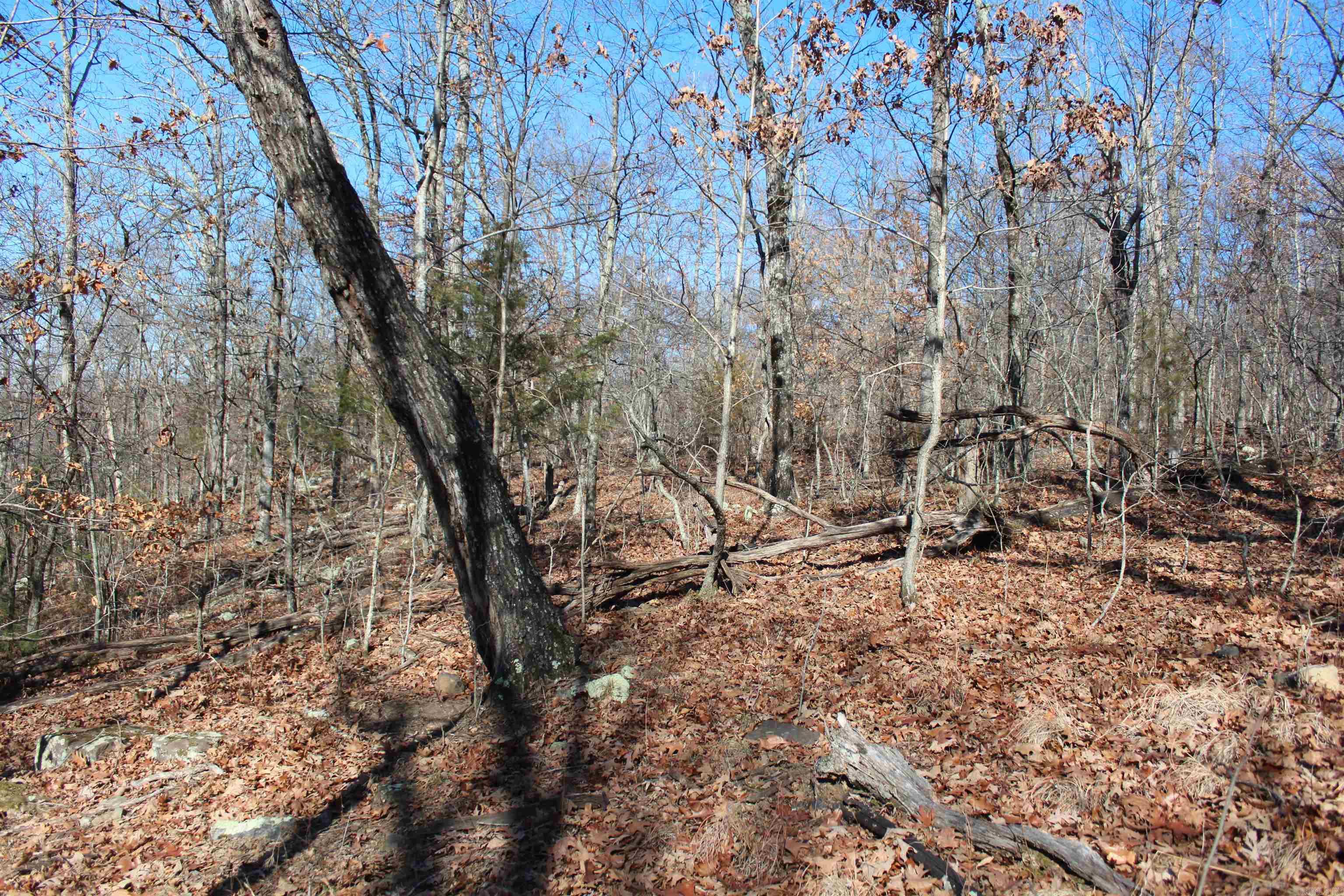 000 Possum Trot Rd  Compton, AR