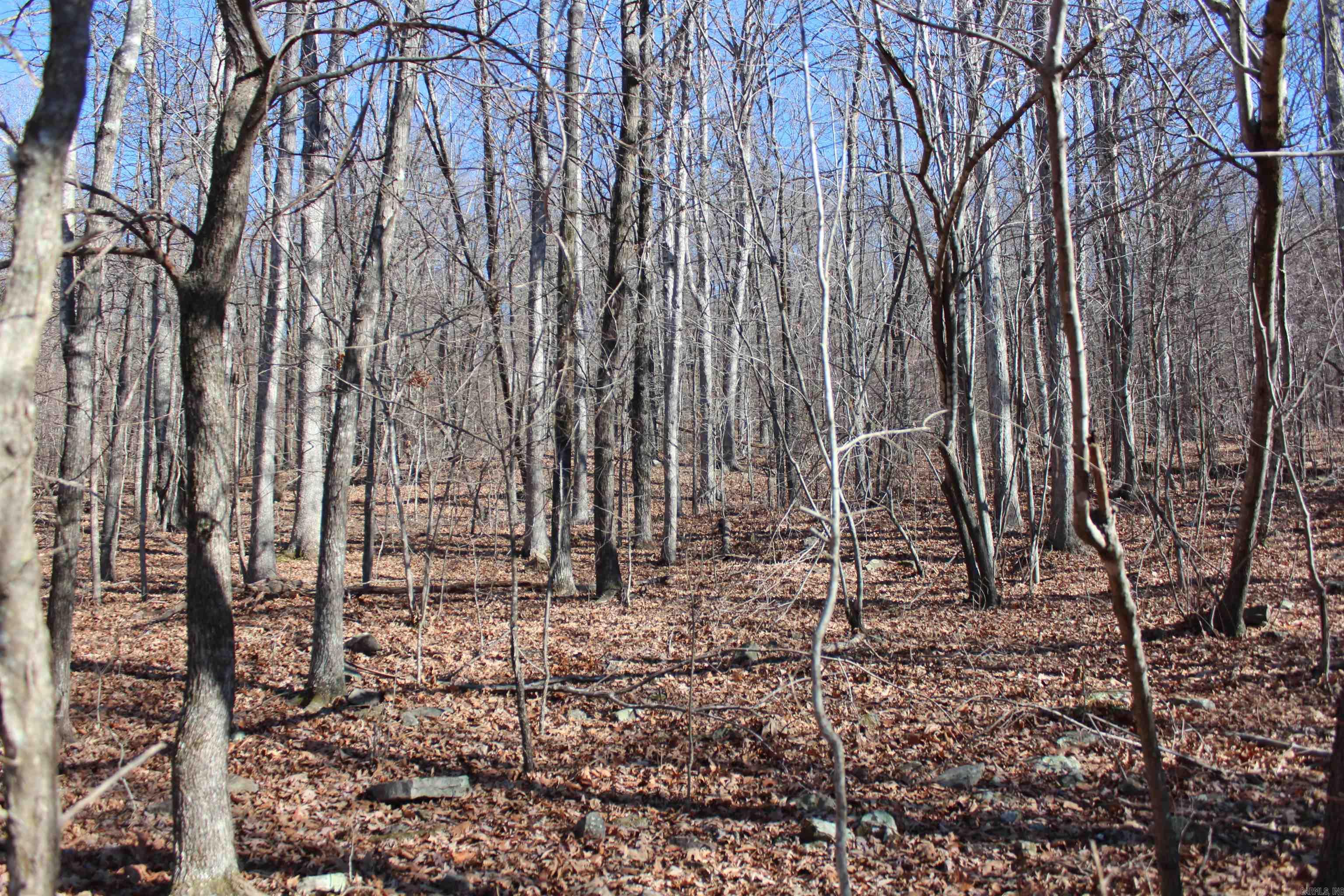 000 Possum Trot Rd  Compton, AR