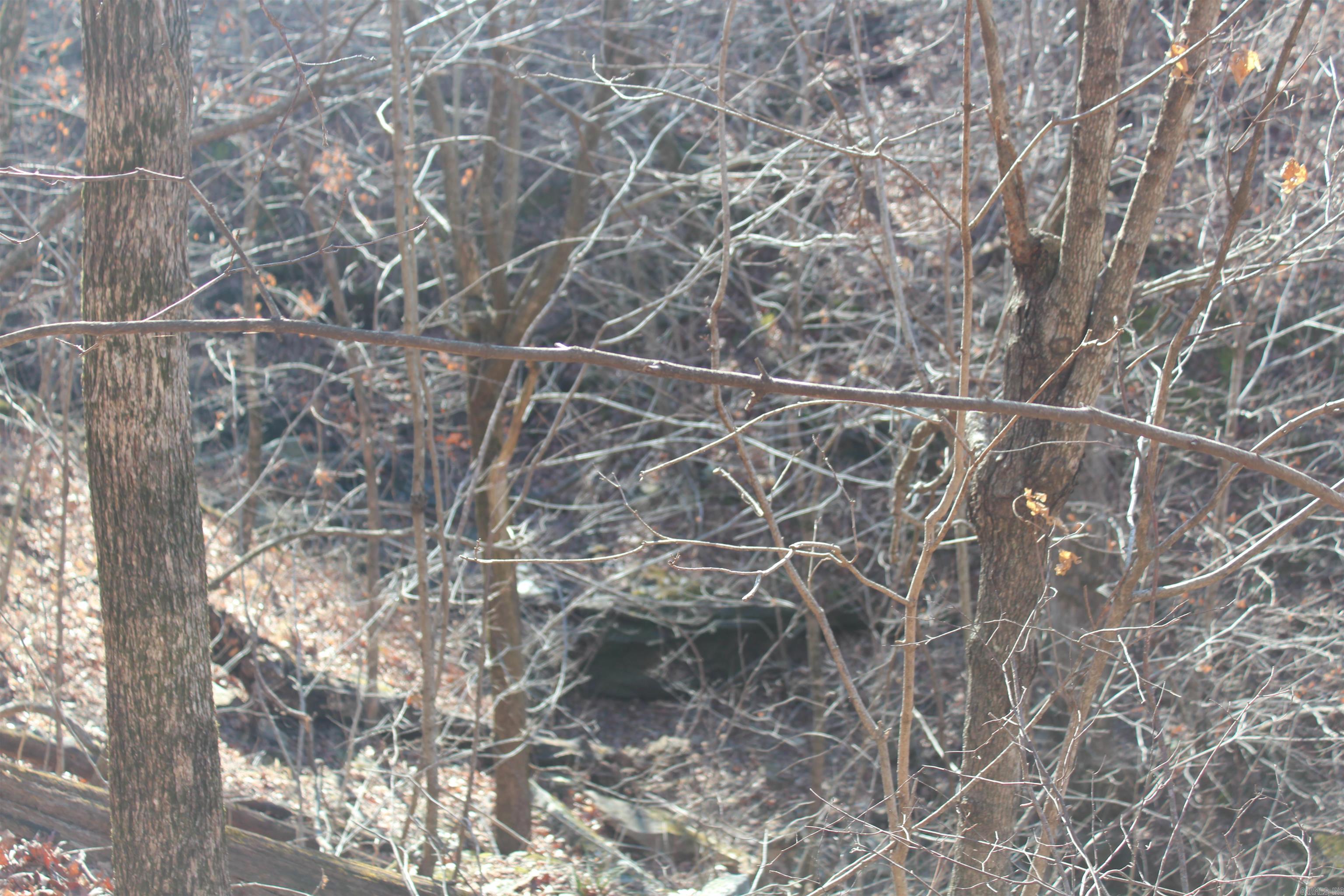 000 Possum Trot Rd  Compton, AR