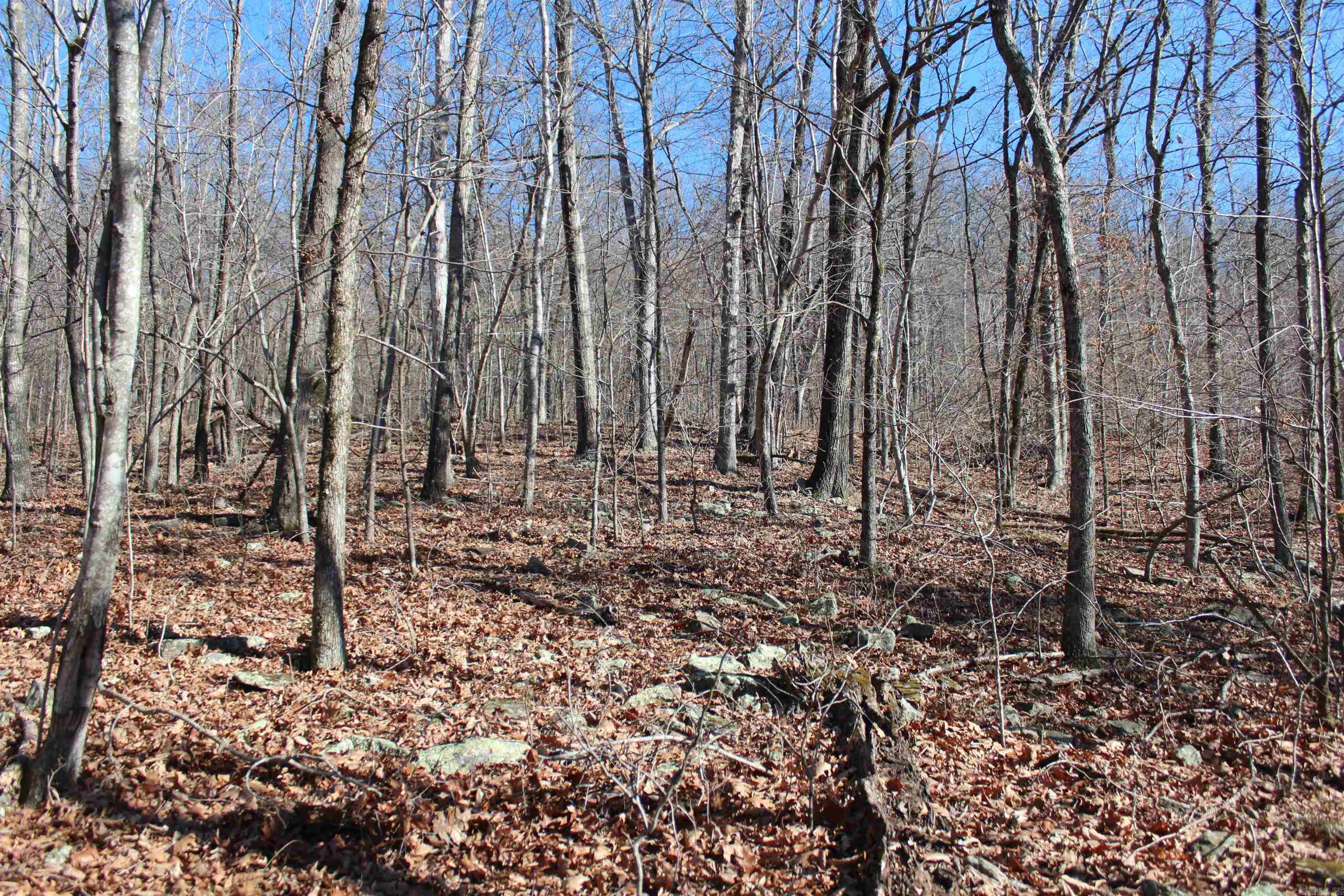 000 Possum Trot Rd  Compton, AR