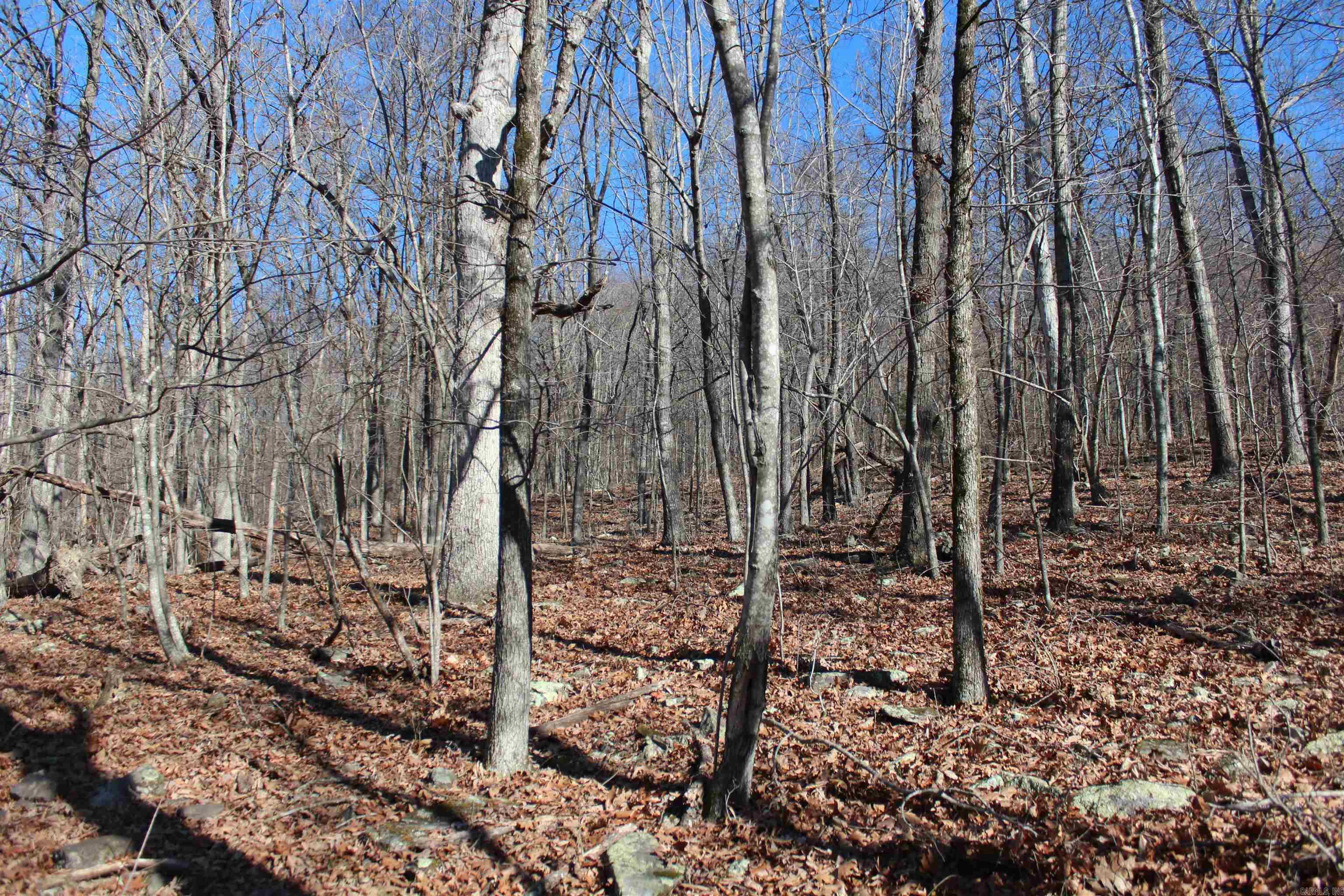 000 Possum Trot Rd  Compton, AR