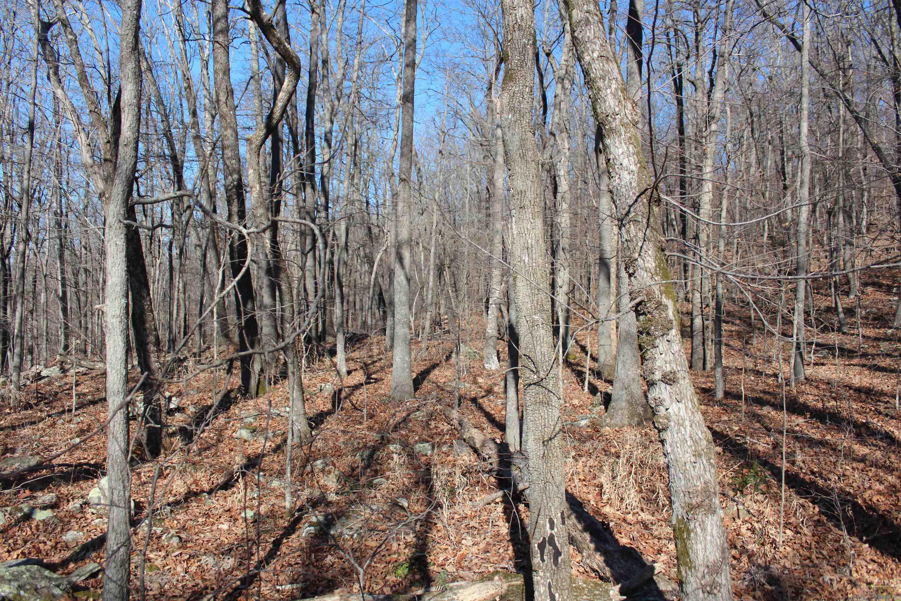 000 Possum Trot Rd  Compton, AR