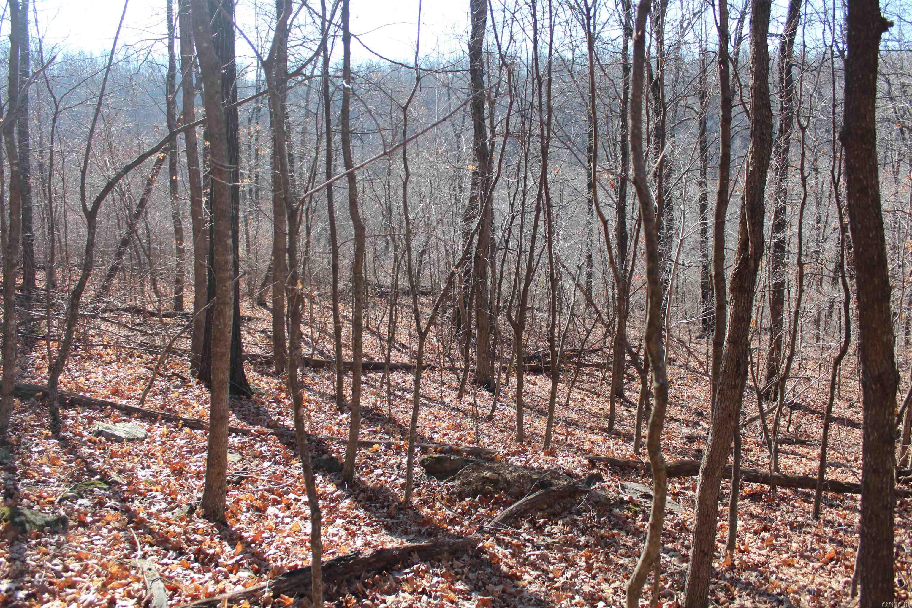 000 Possum Trot Rd  Compton, AR