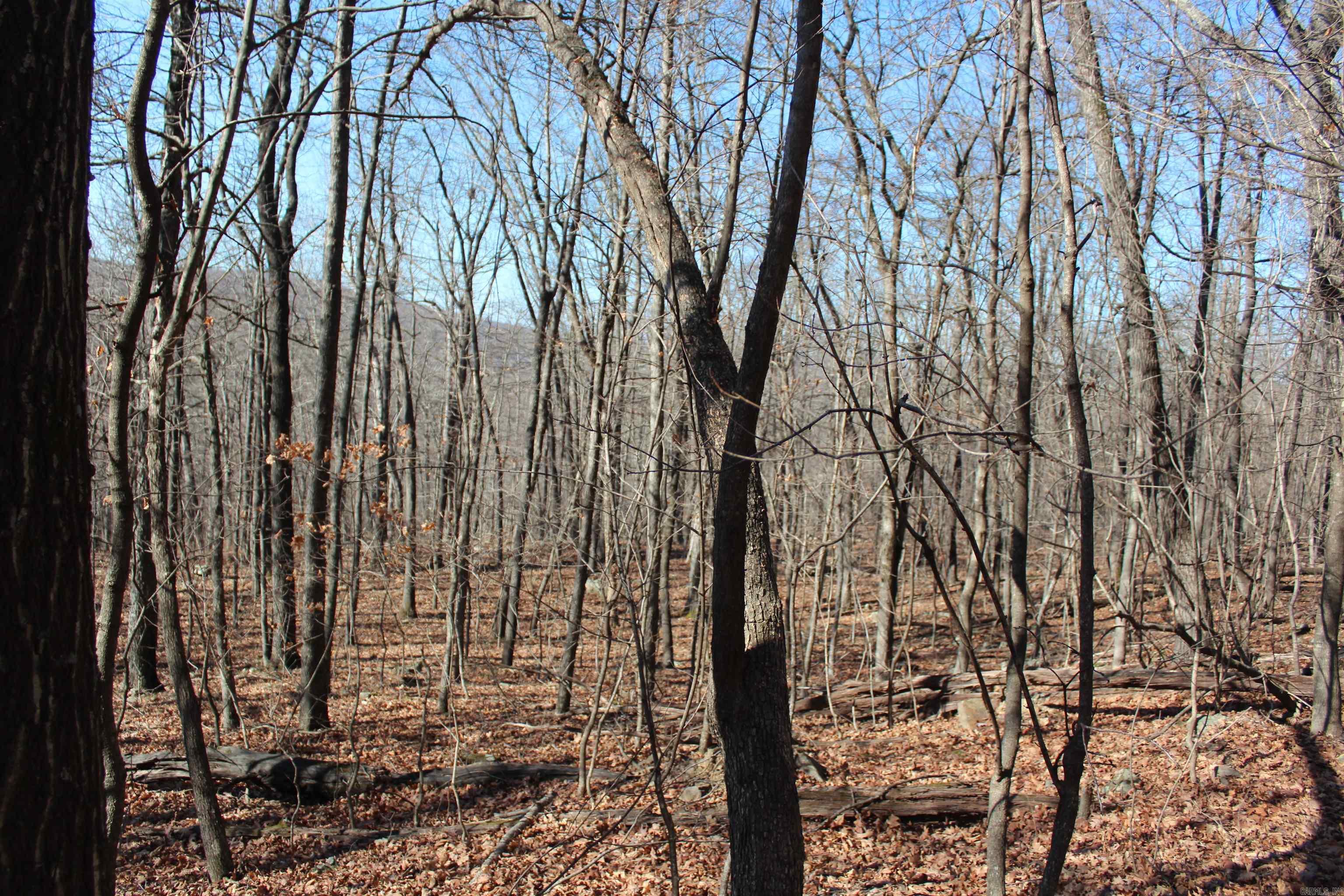 000 Possum Trot Rd  Compton, AR