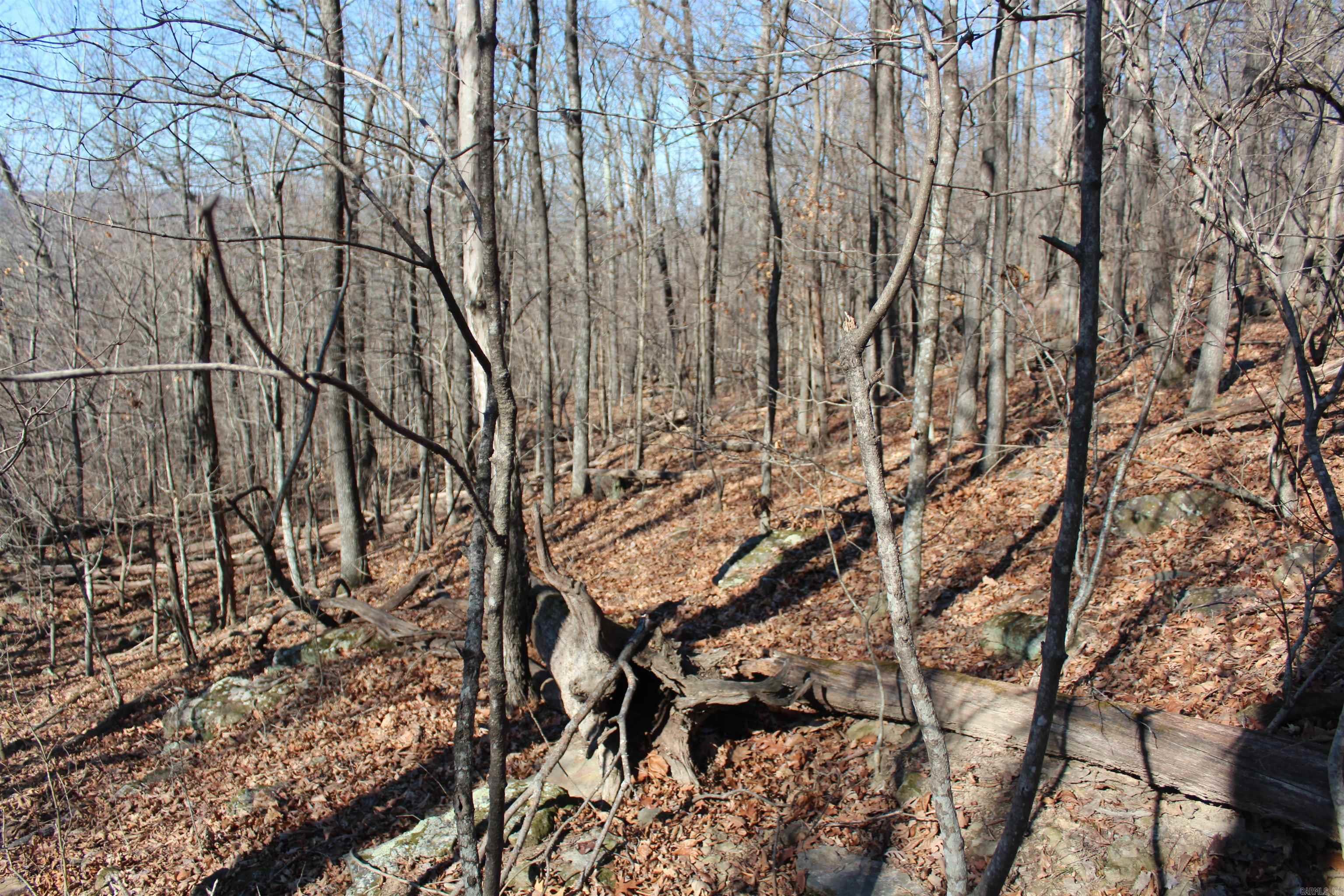 000 Possum Trot Rd  Compton, AR