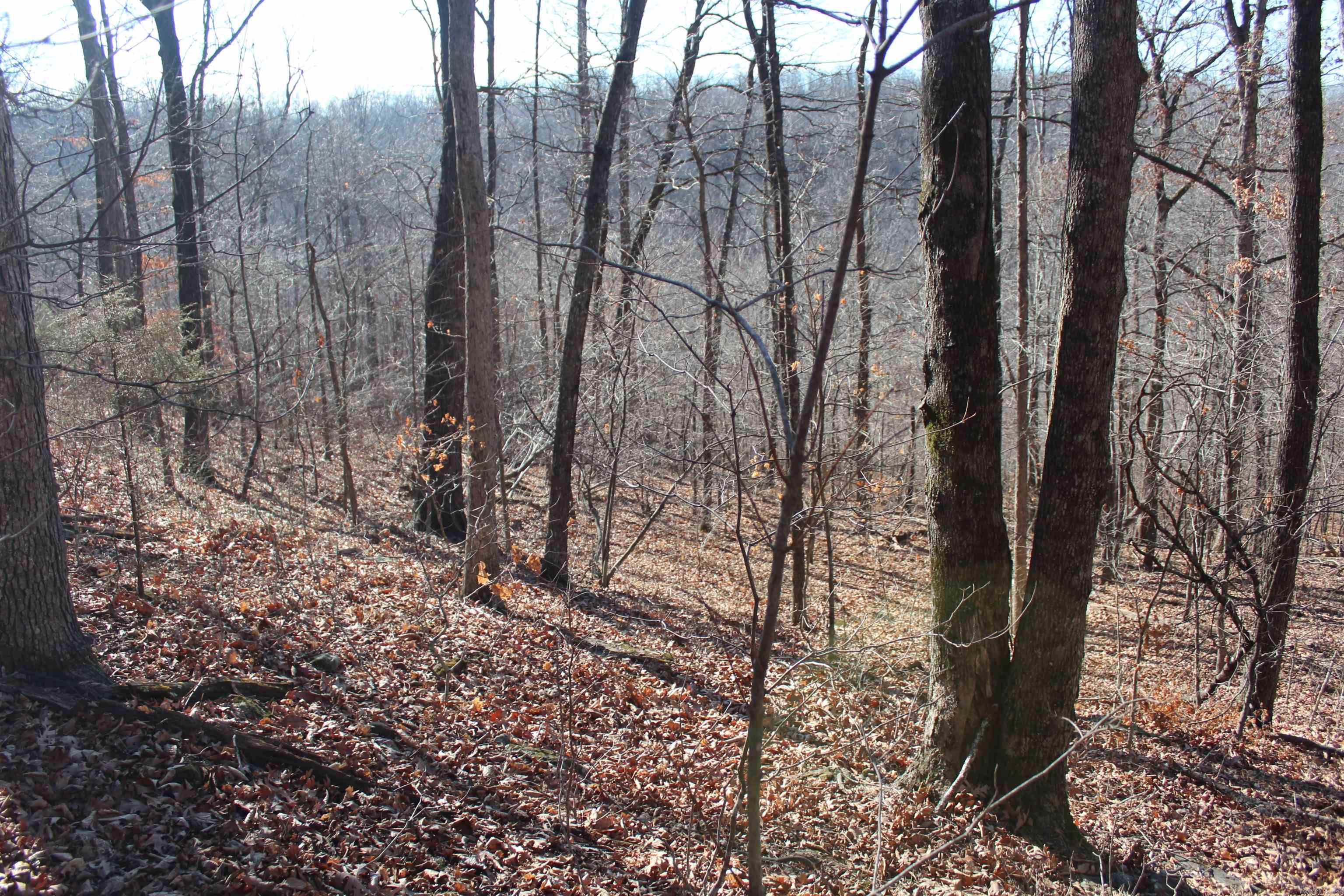 000 Possum Trot Rd  Compton, AR