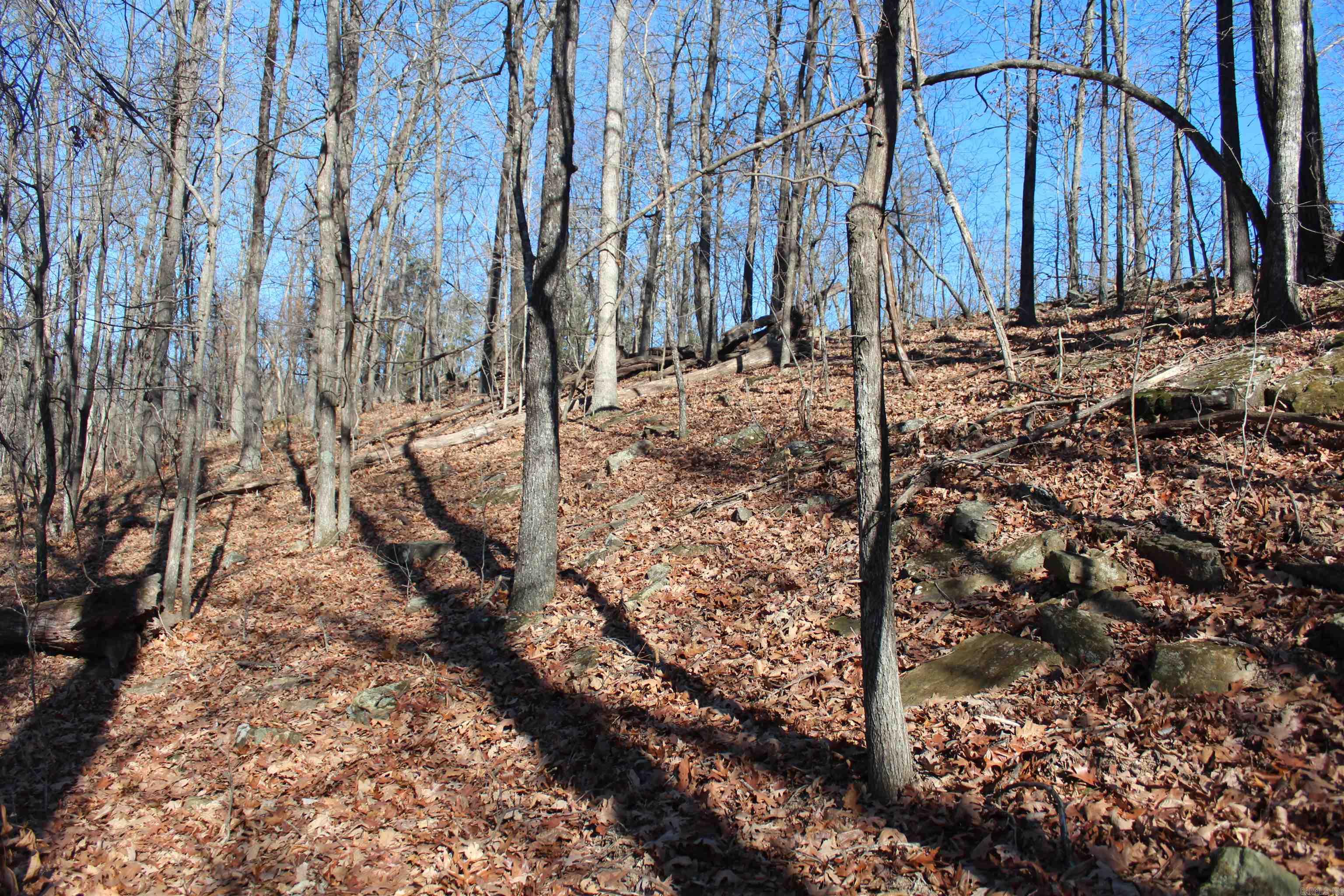 000 Possum Trot Rd  Compton, AR