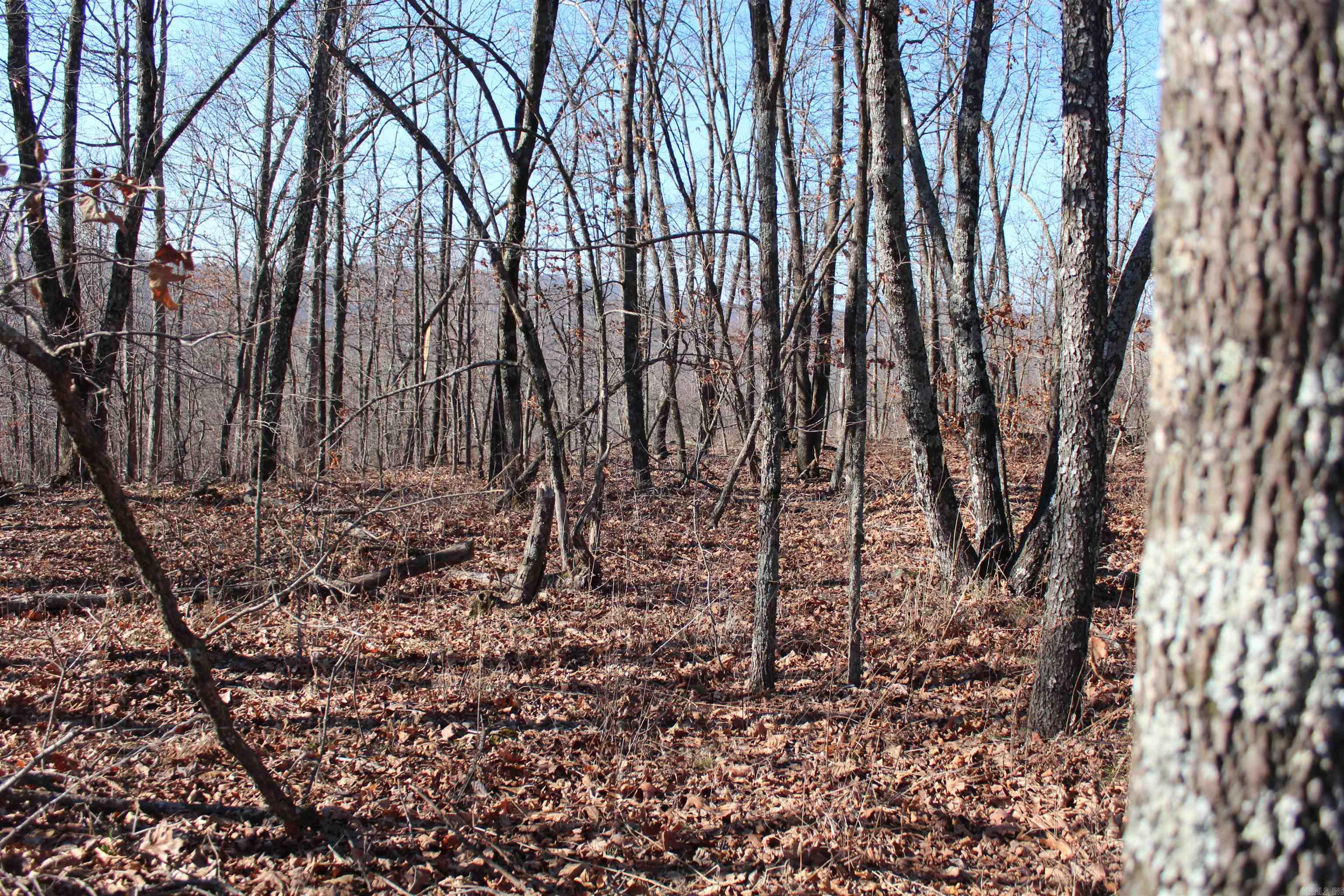 000 Possum Trot Rd  Compton, AR