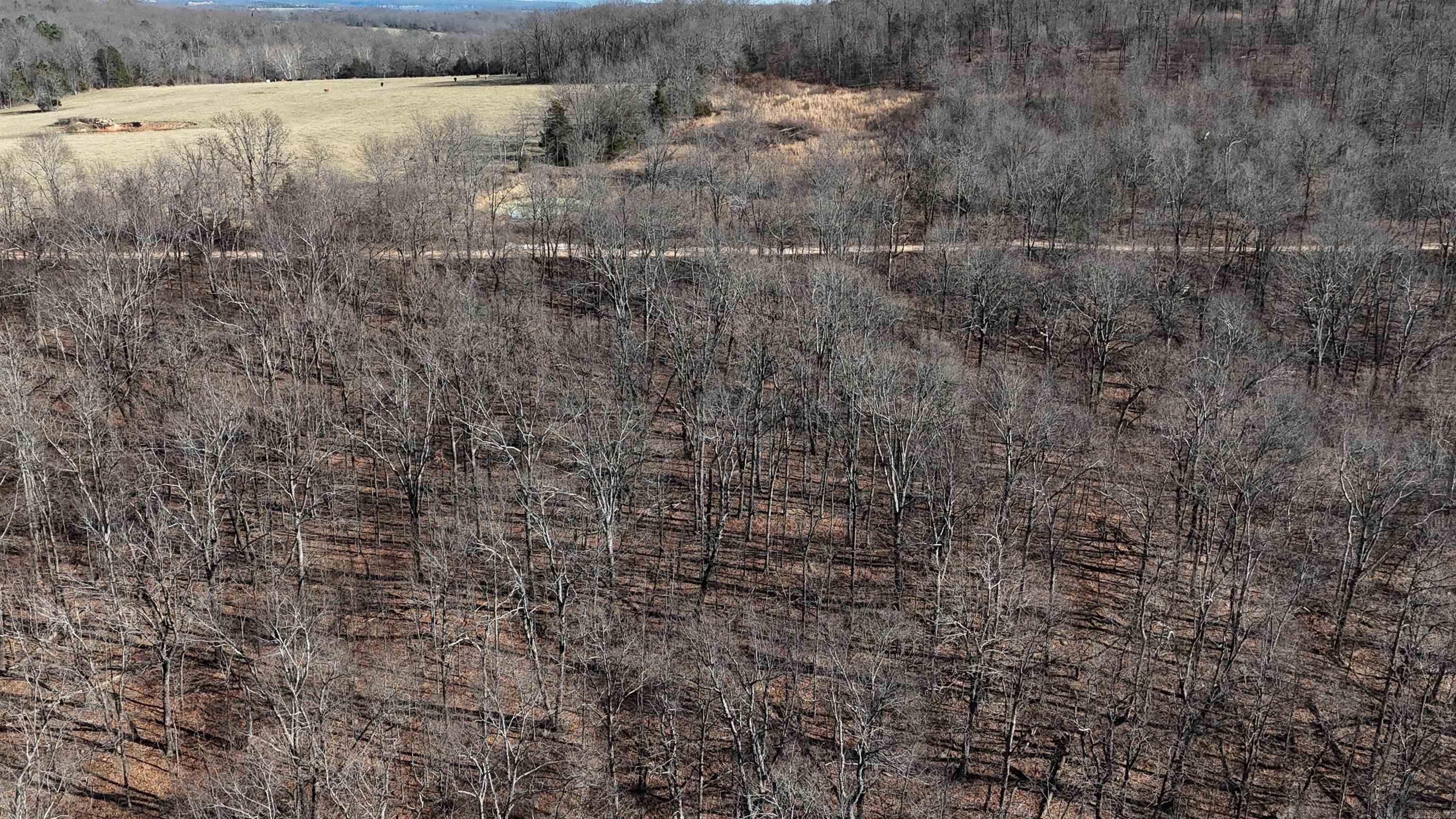 000 Possum Trot Rd  Compton, AR