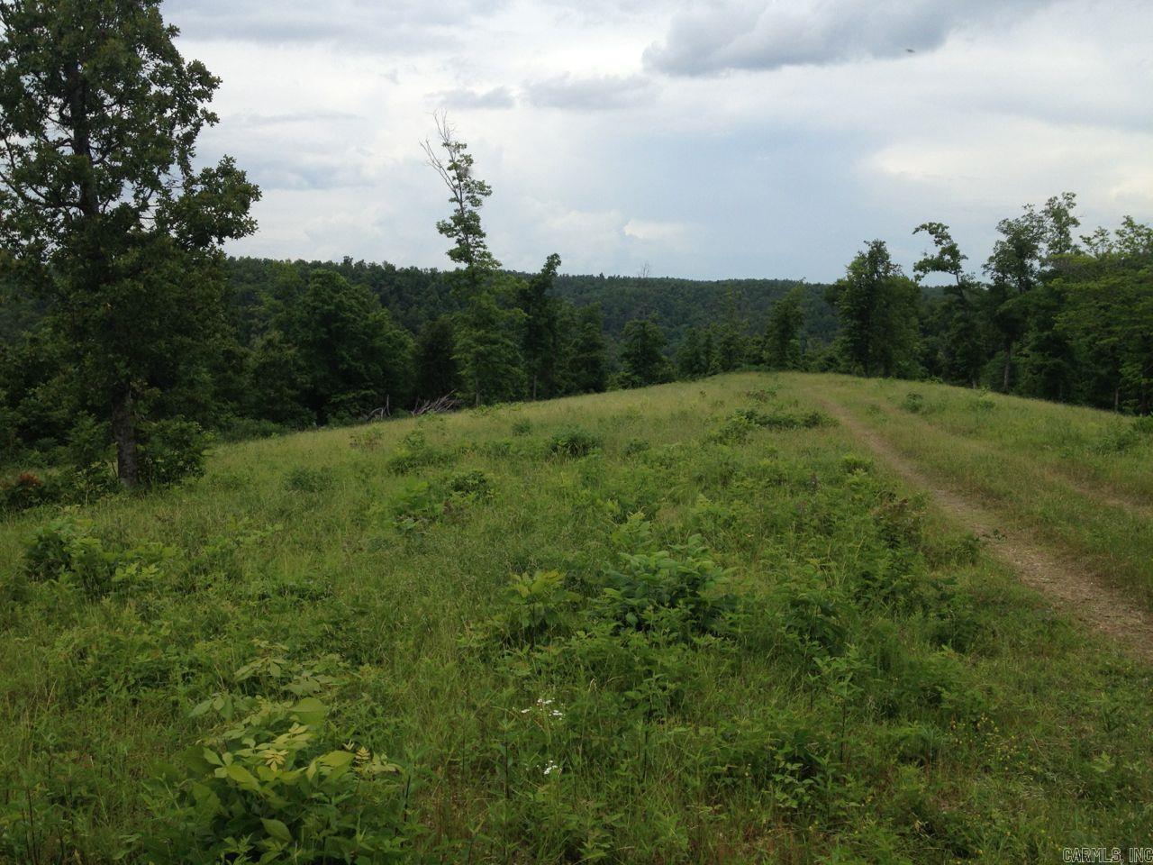 001-00404-003 tator Knob  Yellville, AR