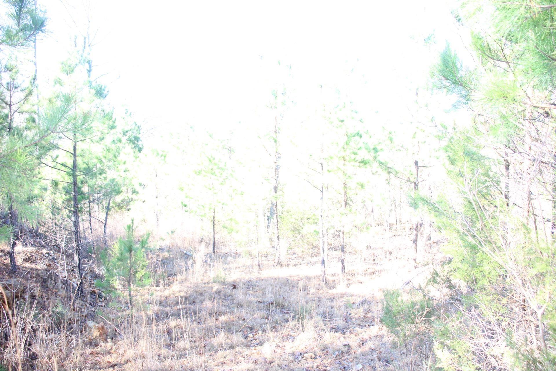 001-00404-003 tator Knob  Yellville, AR