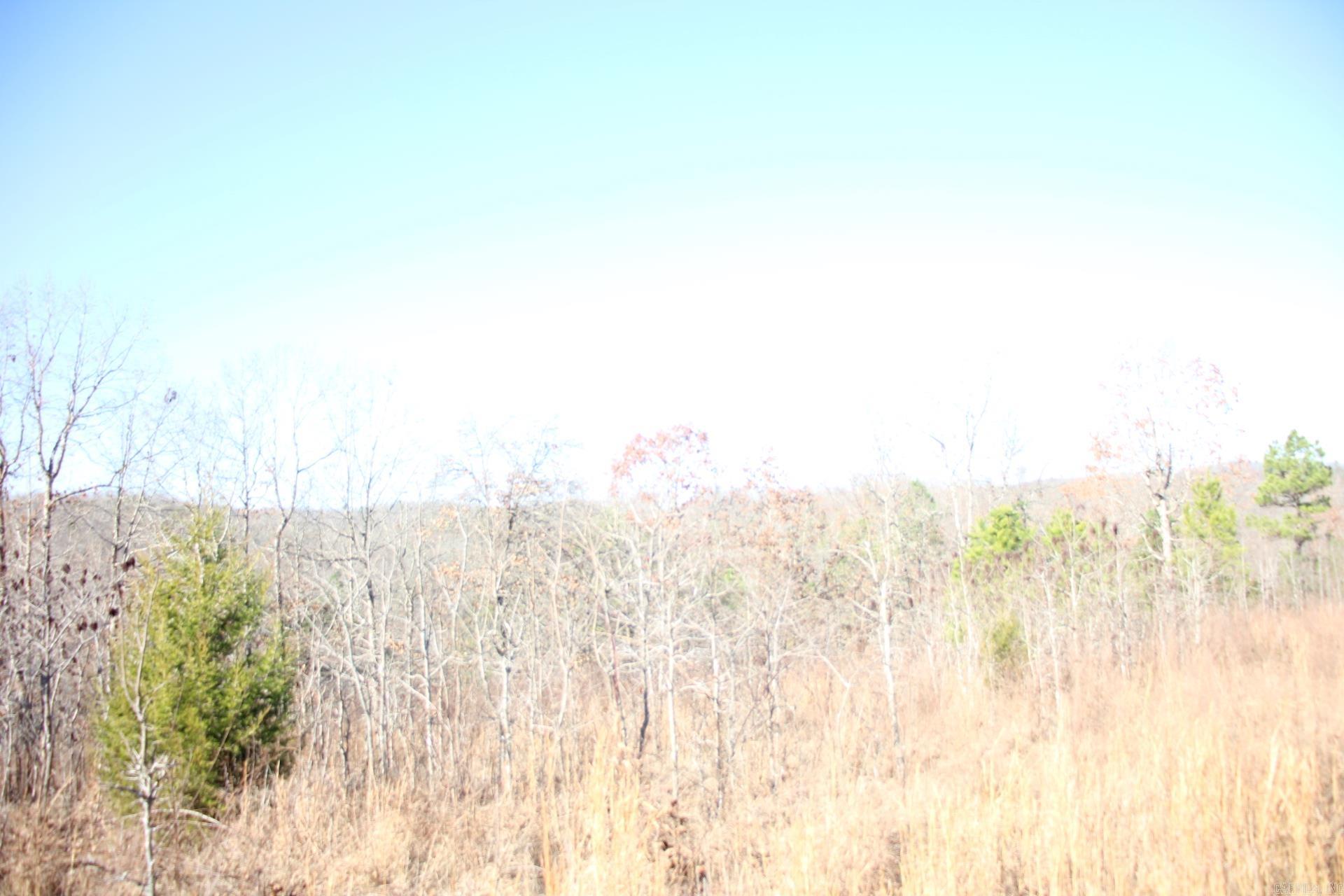 001-00404-003 tator Knob  Yellville, AR