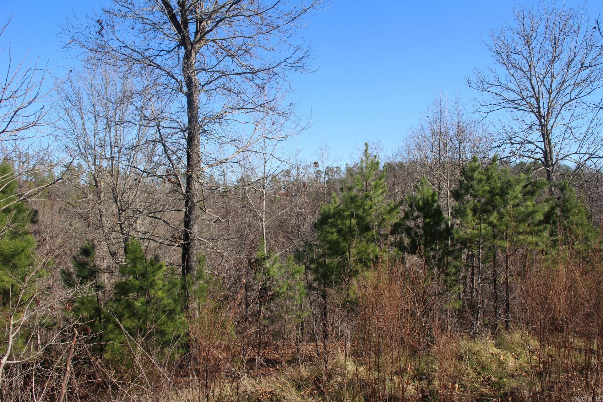 001-00404-003 tator Knob  Yellville, AR