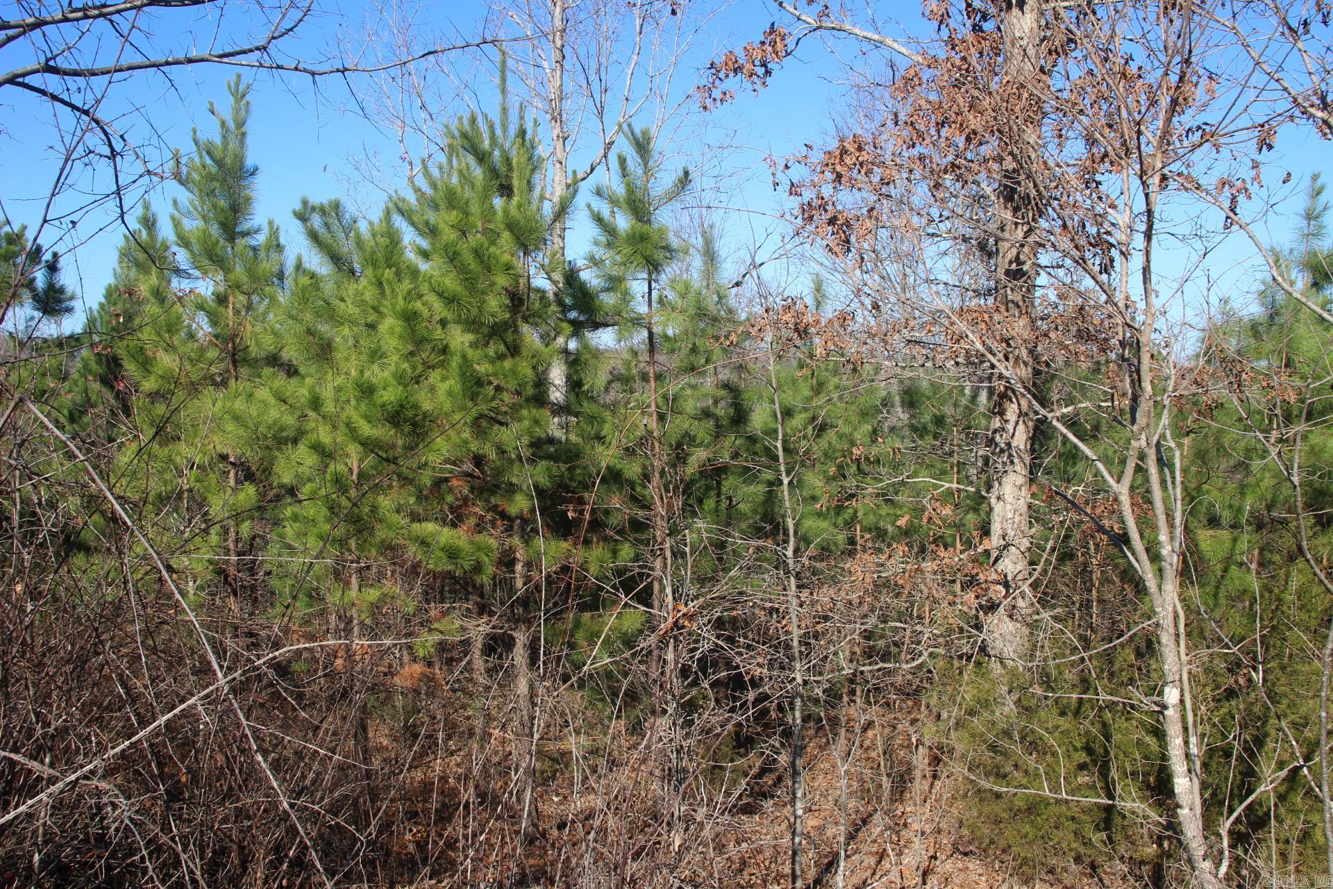 001-00404-003 tator Knob  Yellville, AR