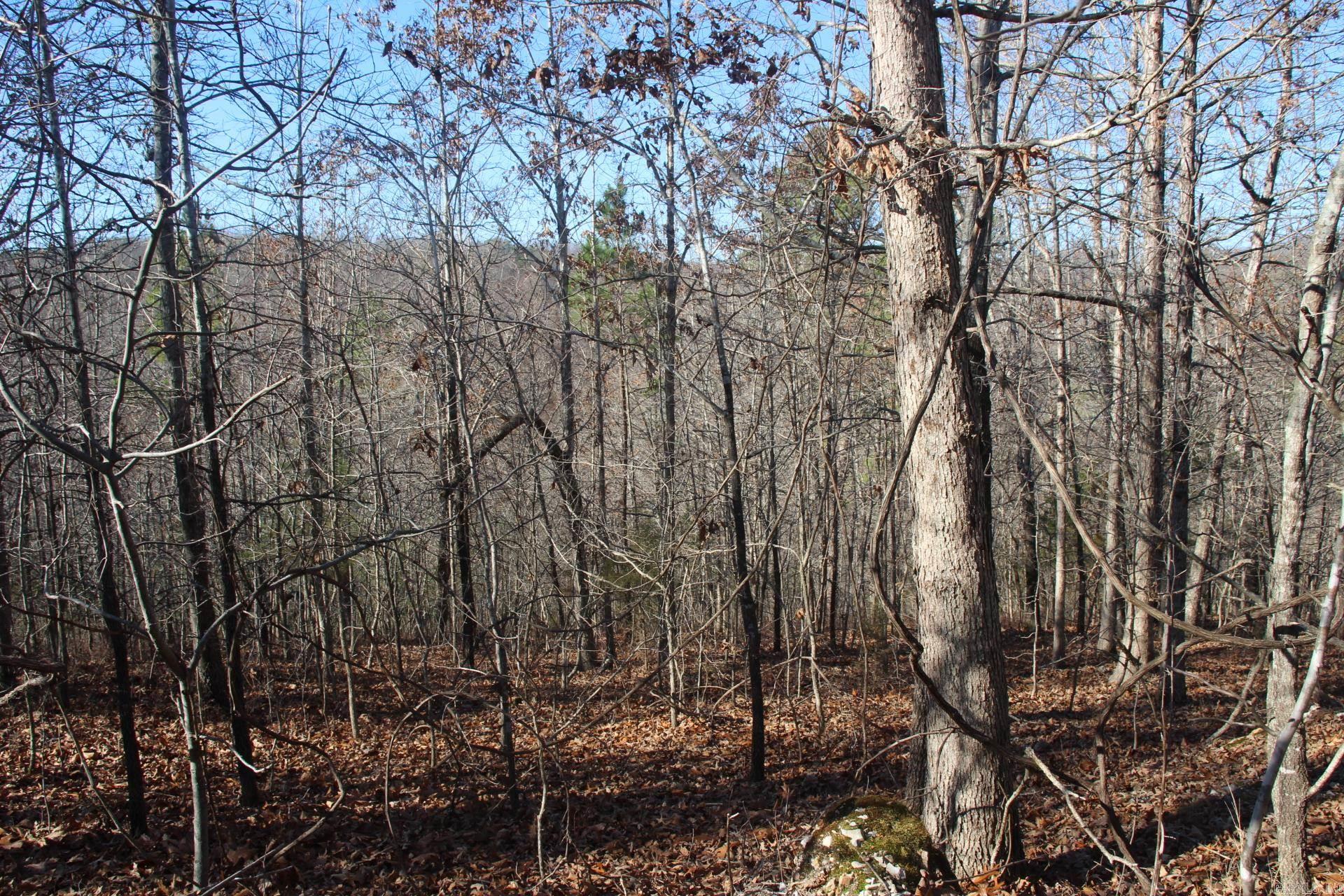 001-00404-003 tator Knob  Yellville, AR