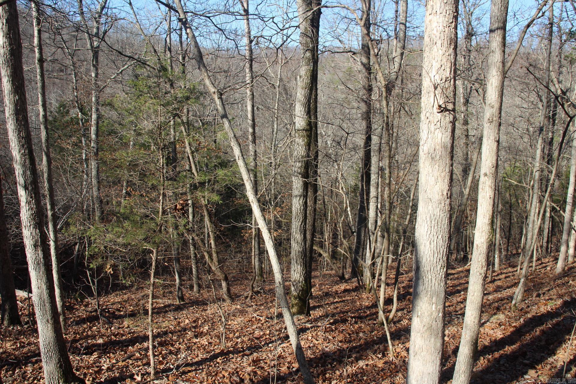 001-00404-003 tator Knob  Yellville, AR