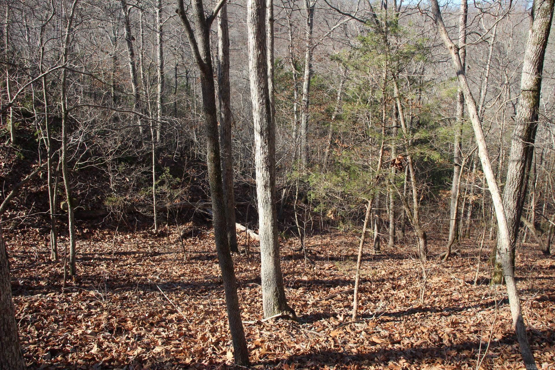 001-00404-003 tator Knob  Yellville, AR