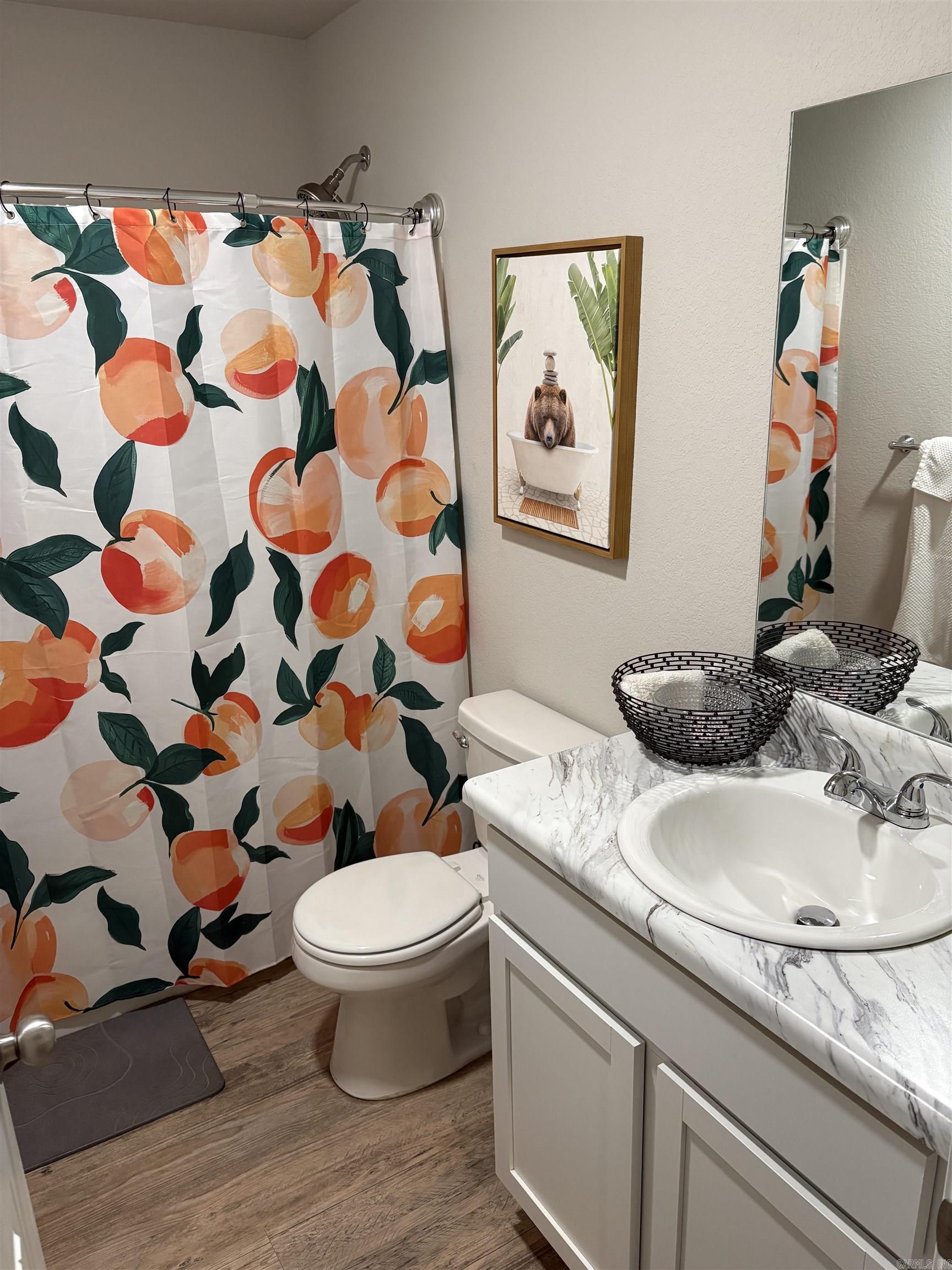 1660 Carillon  Conway, AR