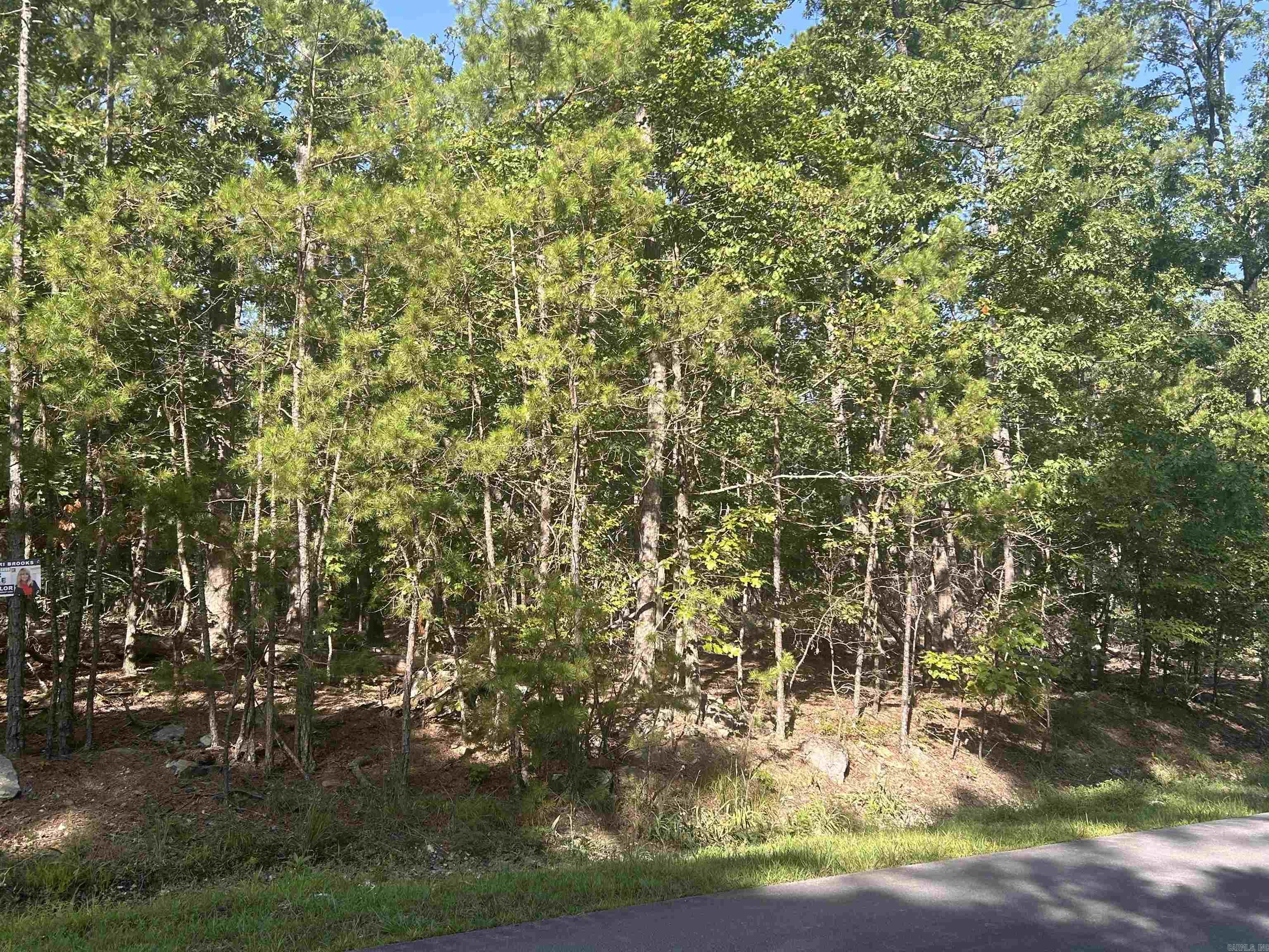 143 Viajero  Hot Springs Village, AR