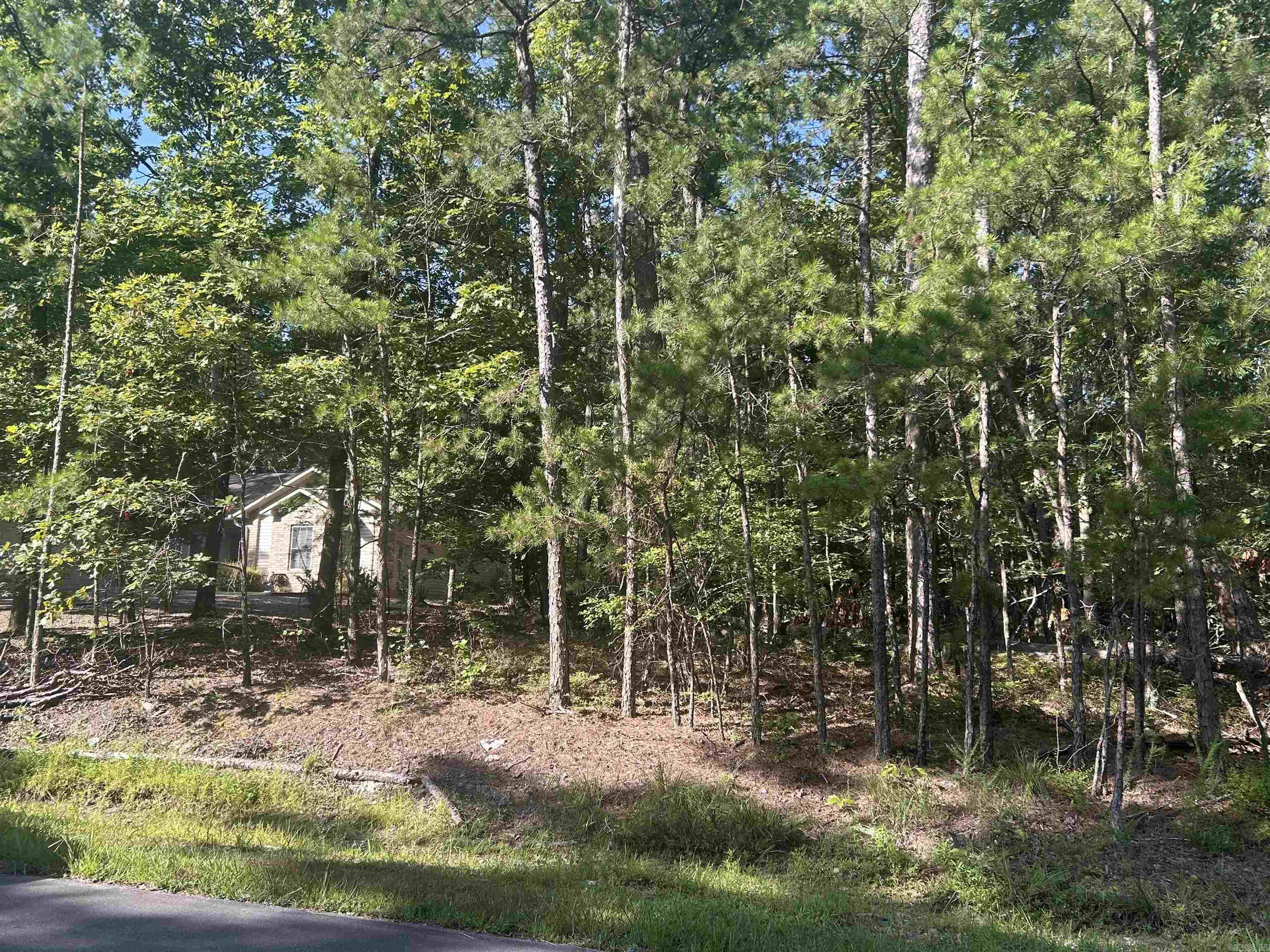 143 Viajero  Hot Springs Village, AR