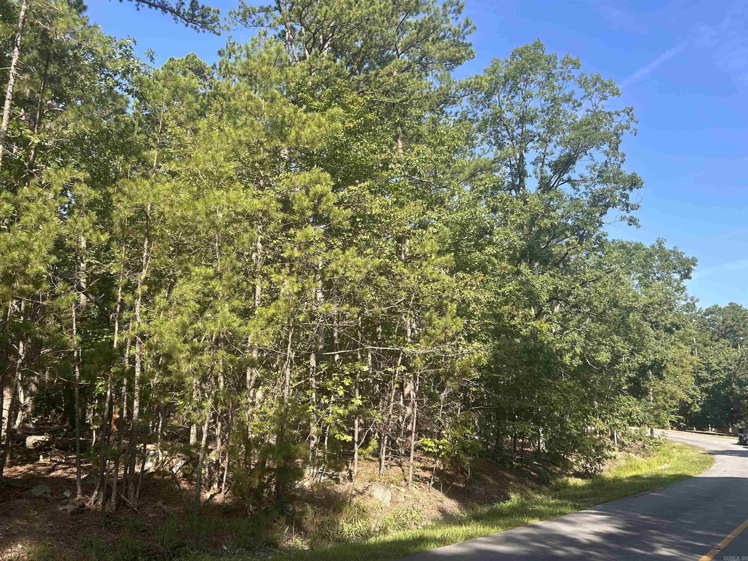 143 Viajero  Hot Springs Village, AR