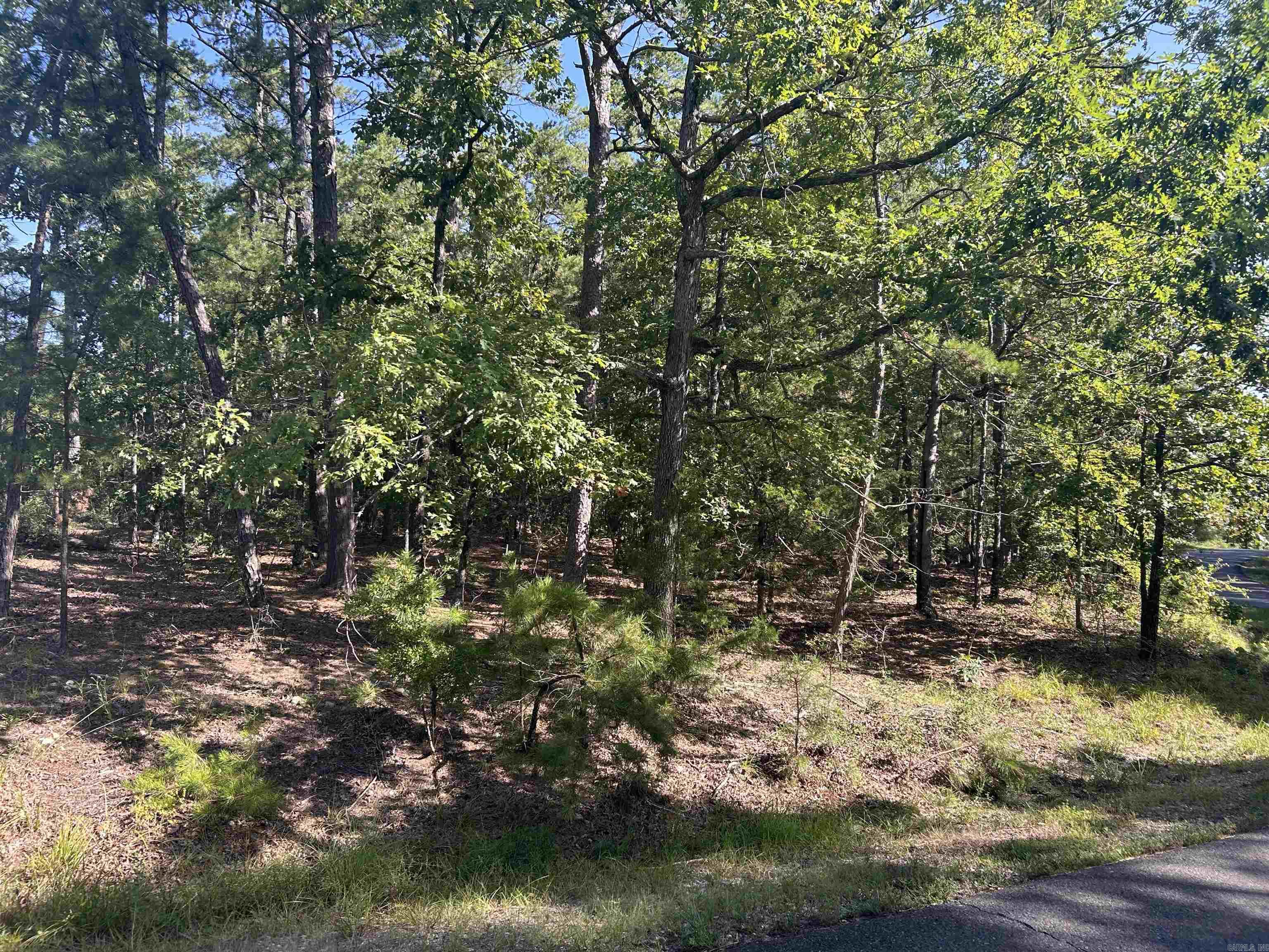 143 Viajero  Hot Springs Village, AR