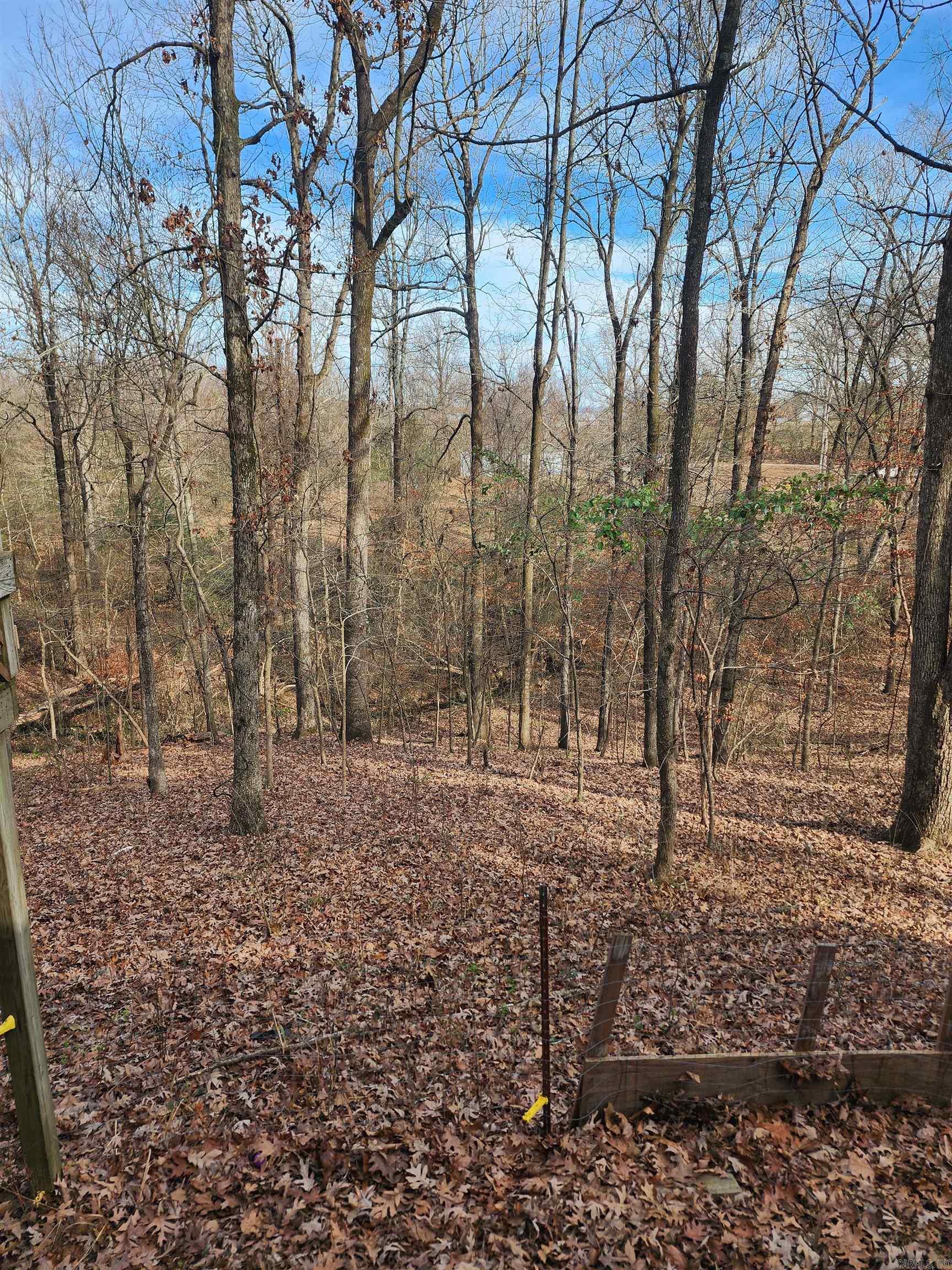 3152 Polk Road 293  Mena, AR