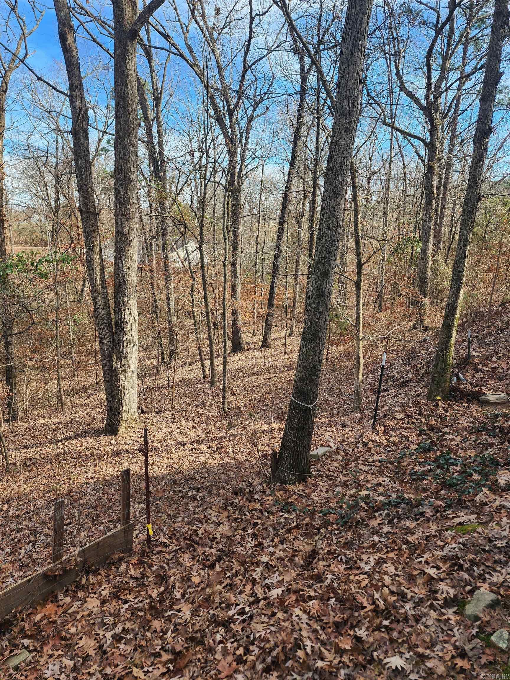 3152 Polk Road 293  Mena, AR