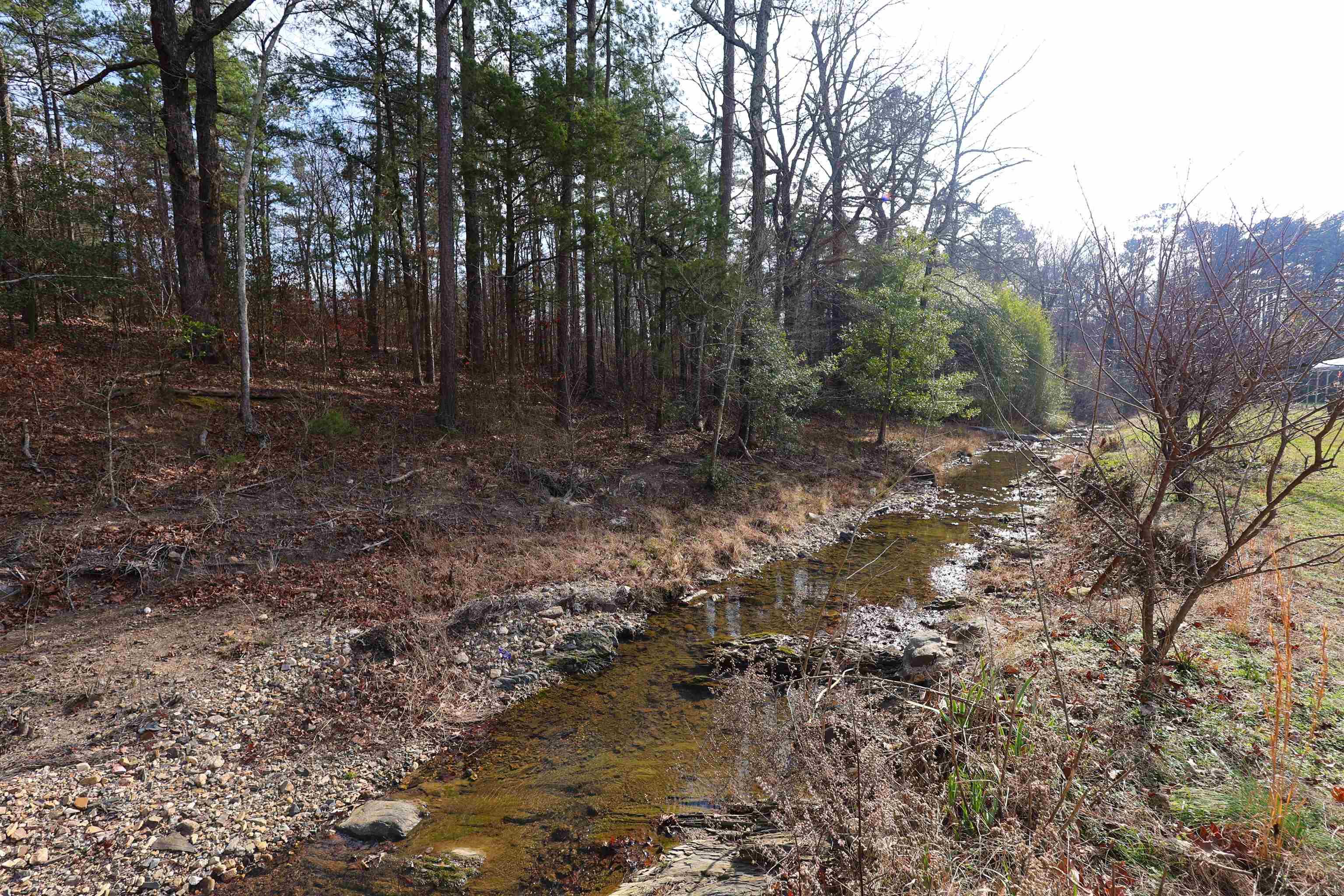 84 Polite Dr  Caddo Gap, AR