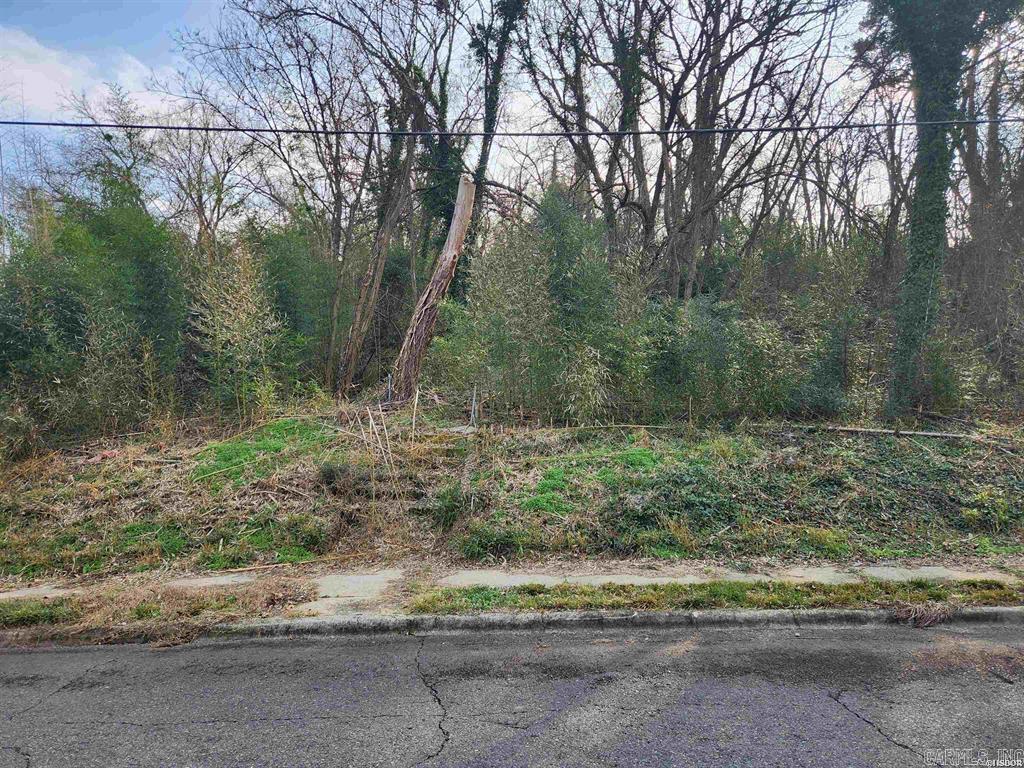 109 Poplar  Hot Springs, AR