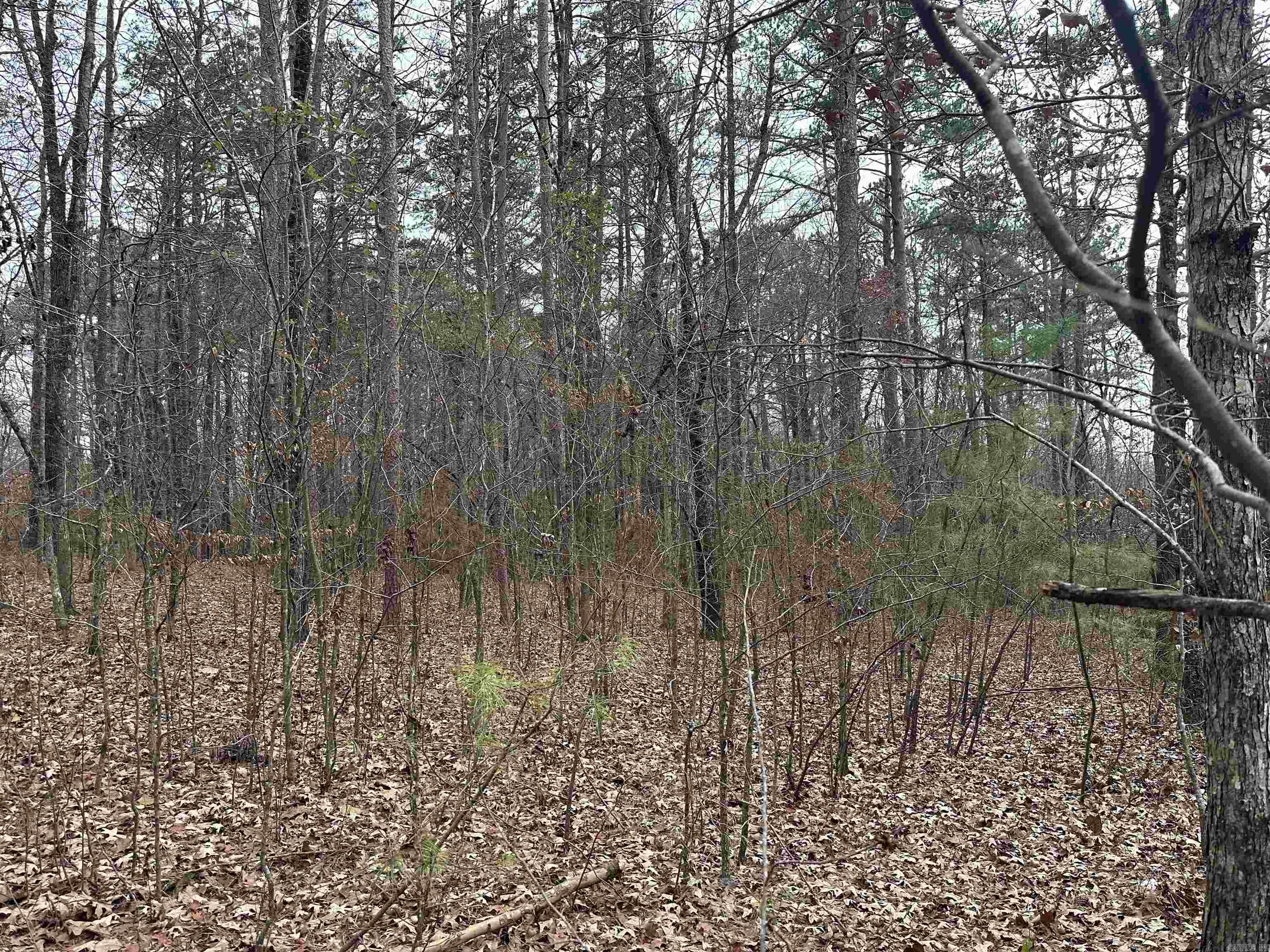  Mountain View  Benton, AR