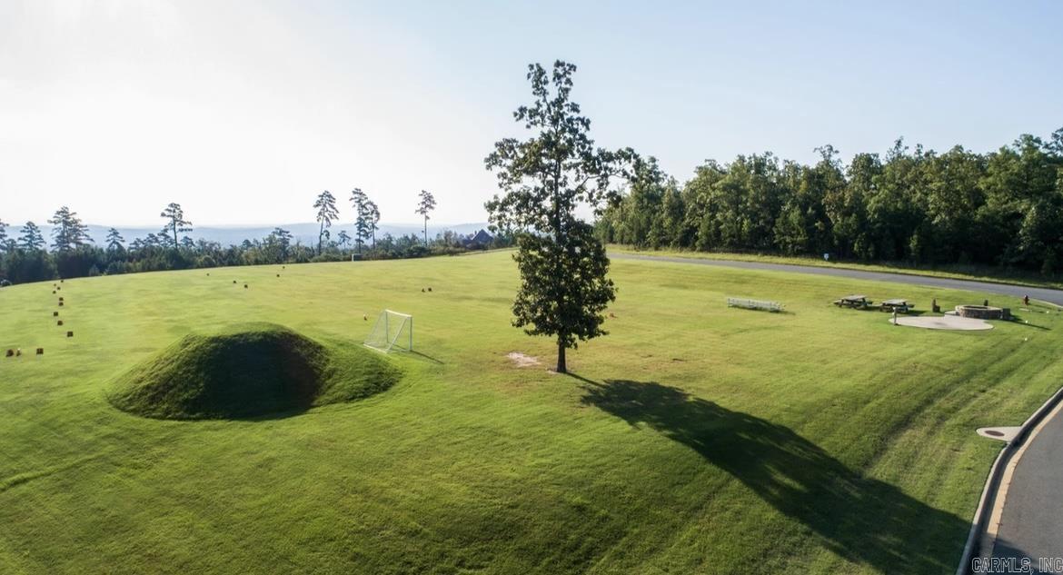 Lot 336 Waterview Meadow Lane  Roland, AR
