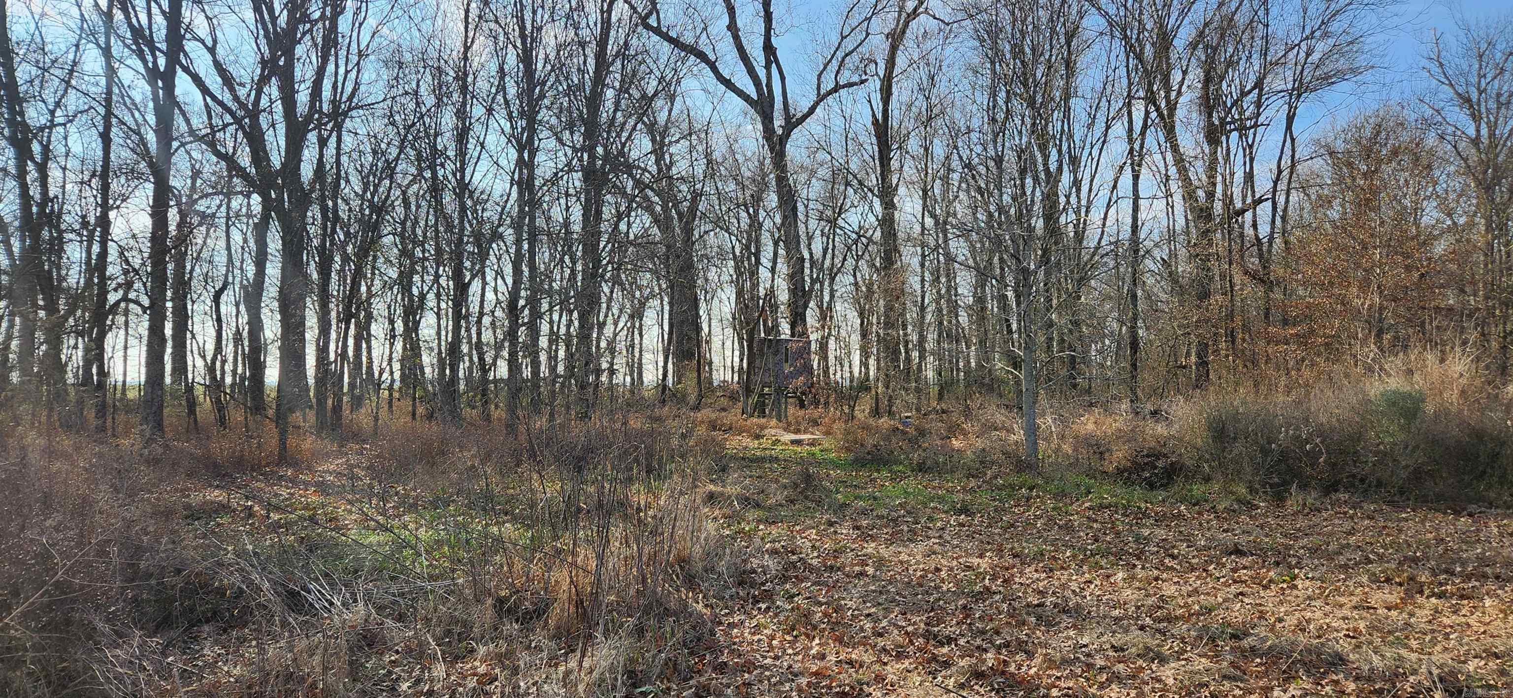 4271 S Highway 165  Stuttgart, AR