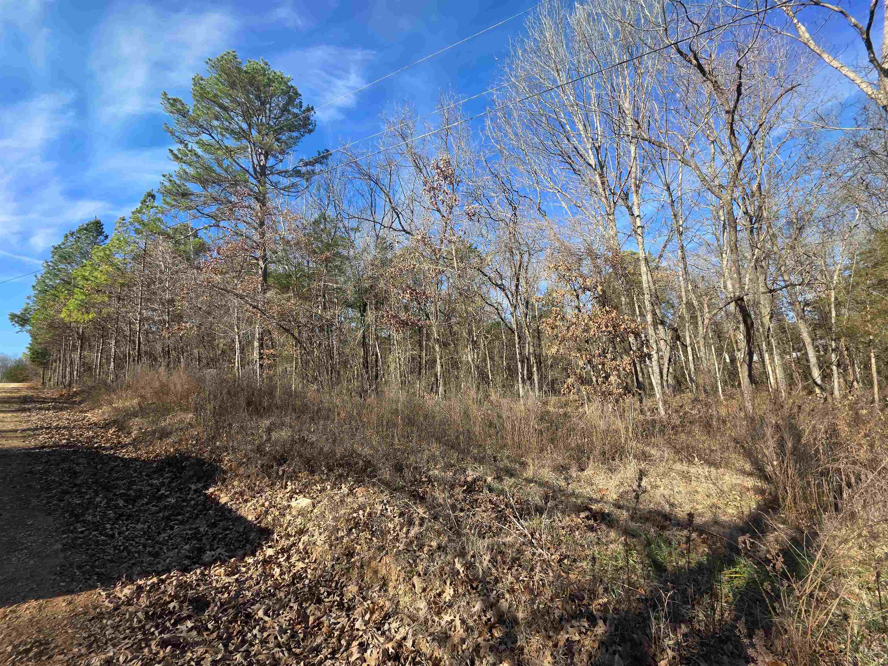 49 Meadow Brook  Sage, AR