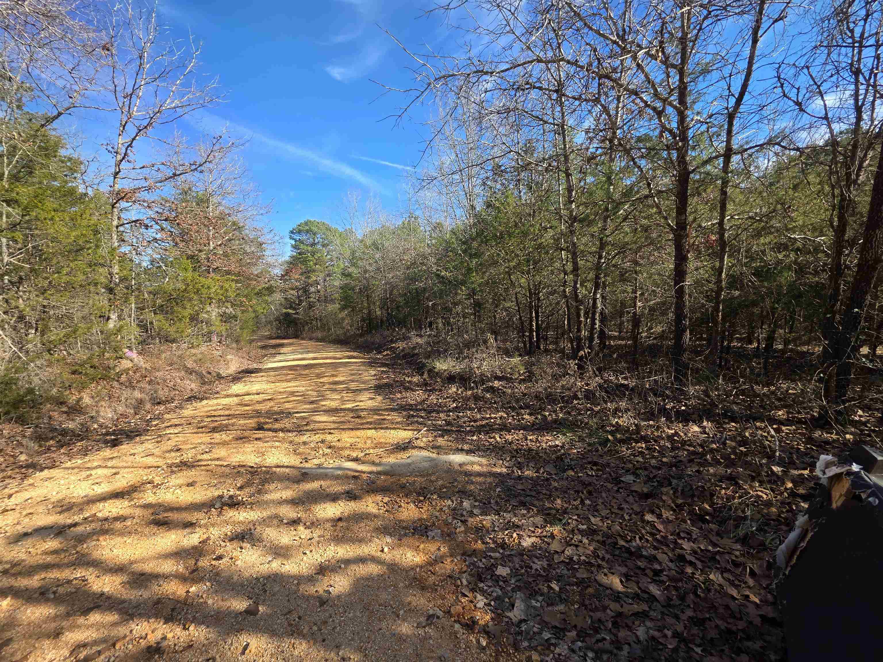 49 Meadow Brook  Sage, AR